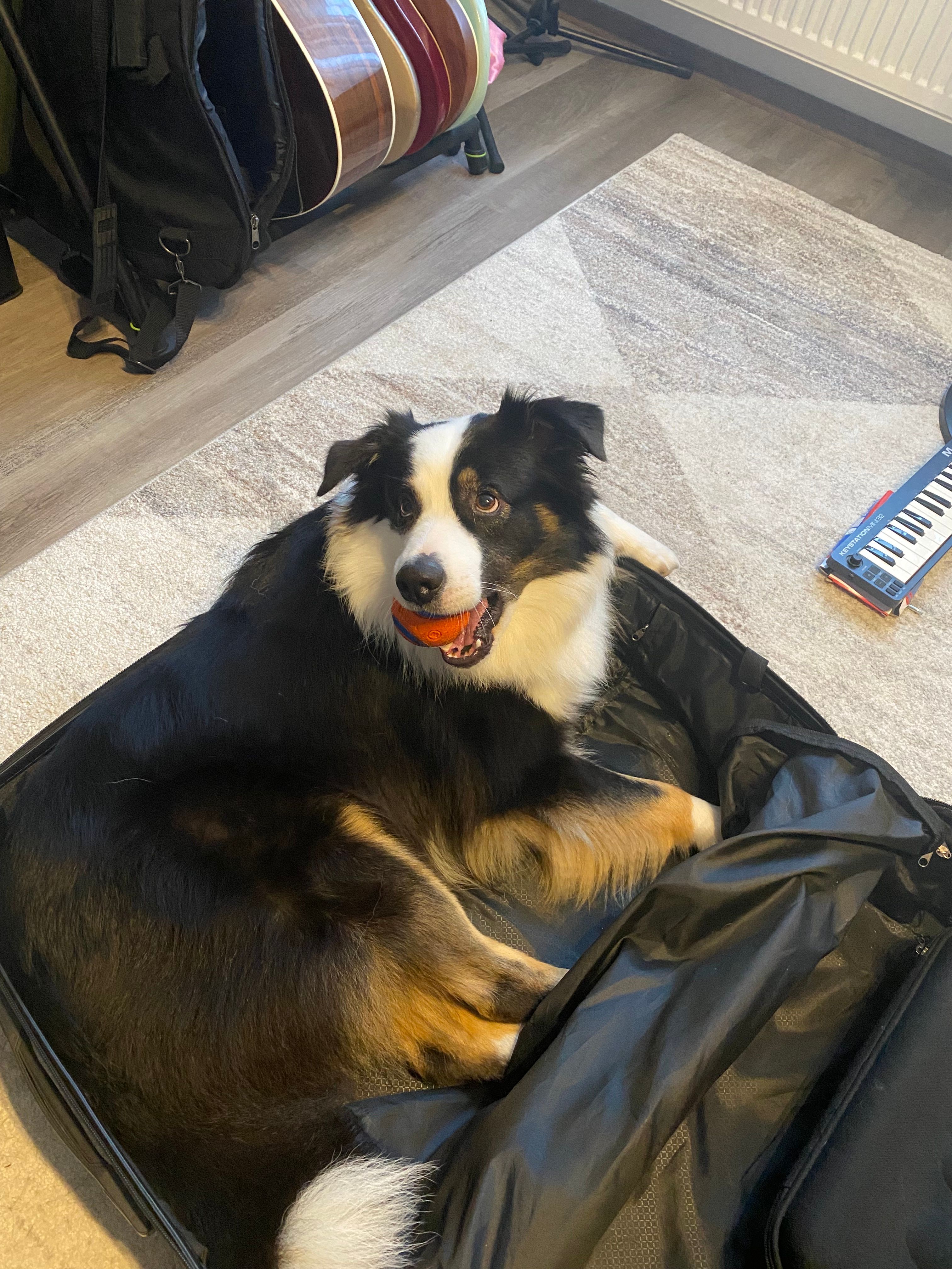 image-28
