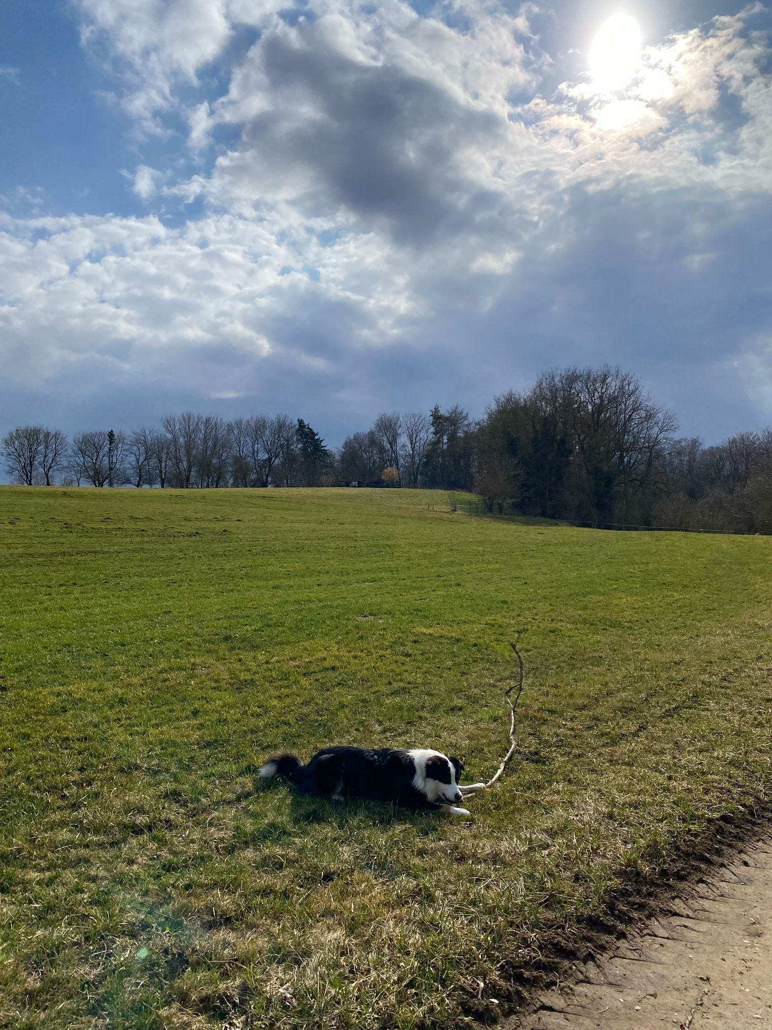image-19