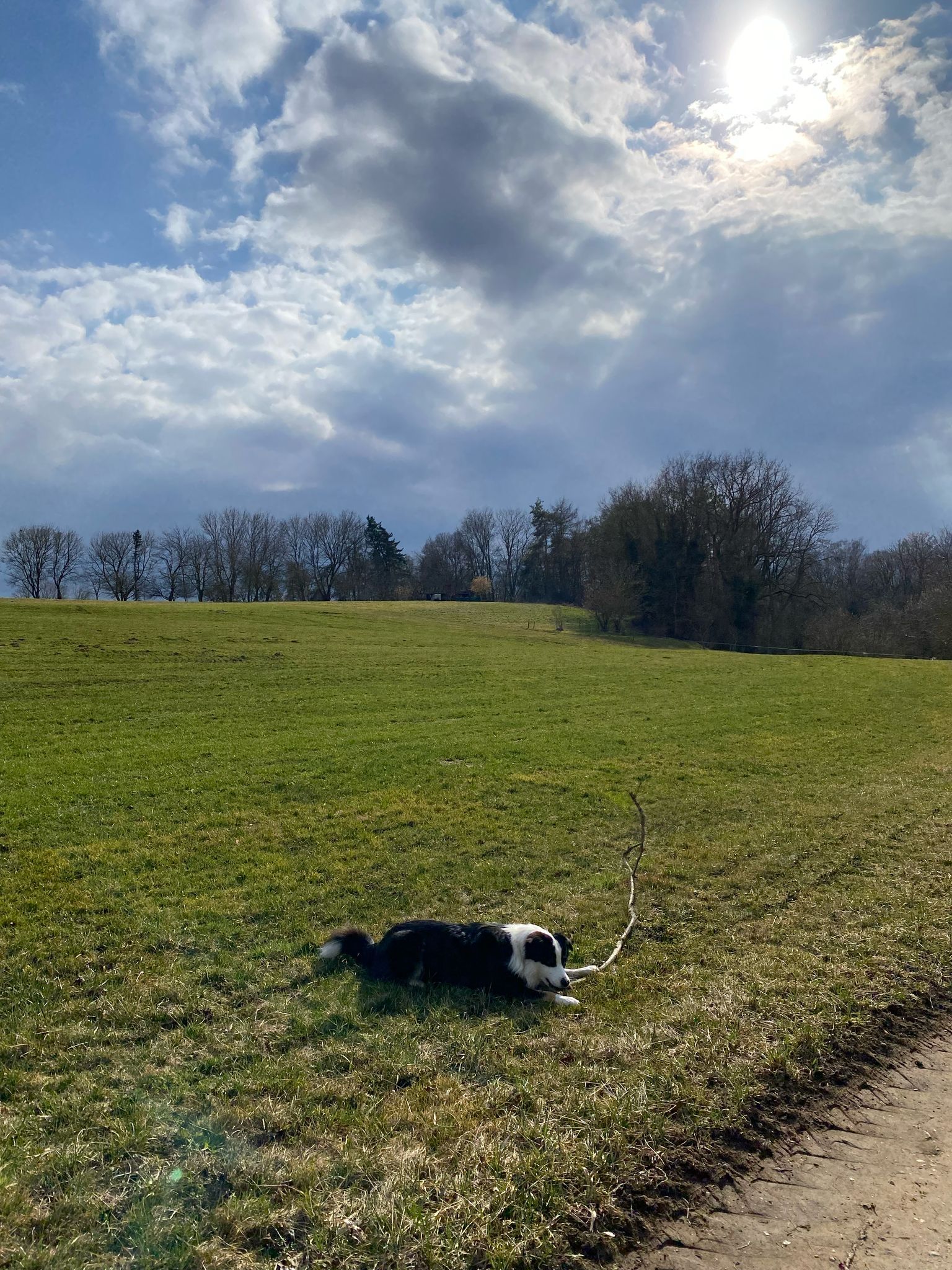 image-19