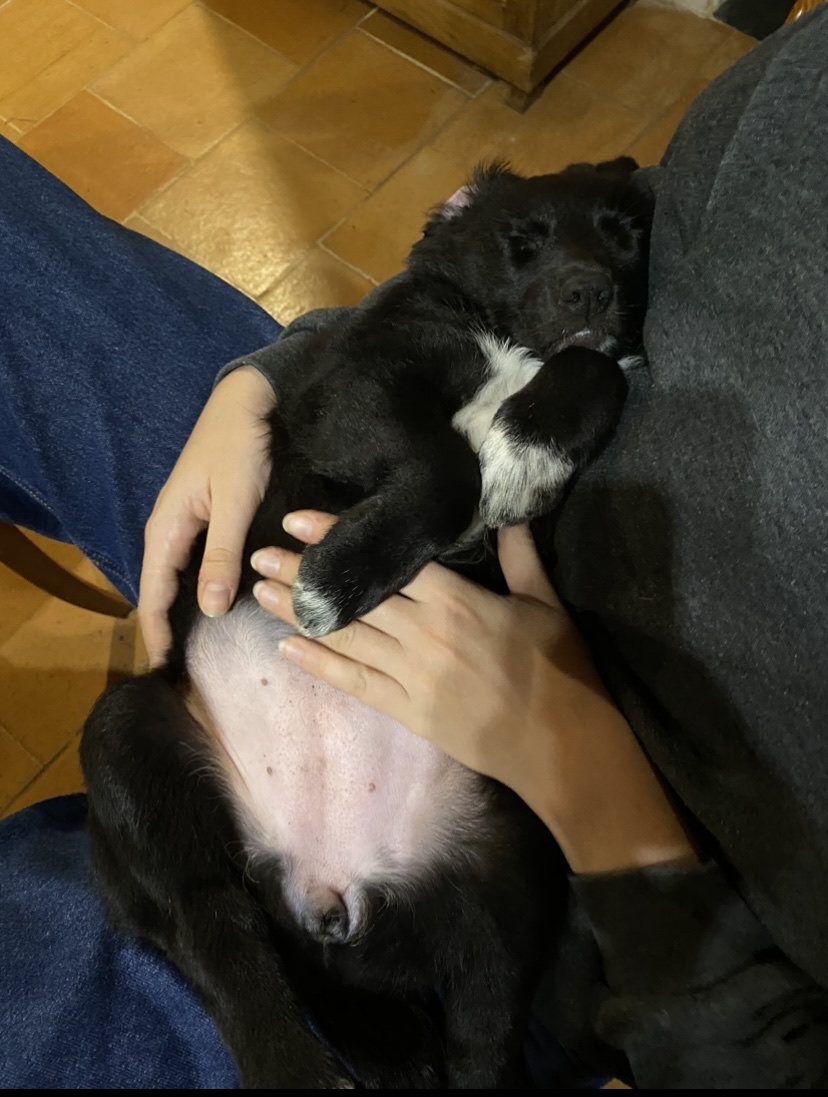 image-9