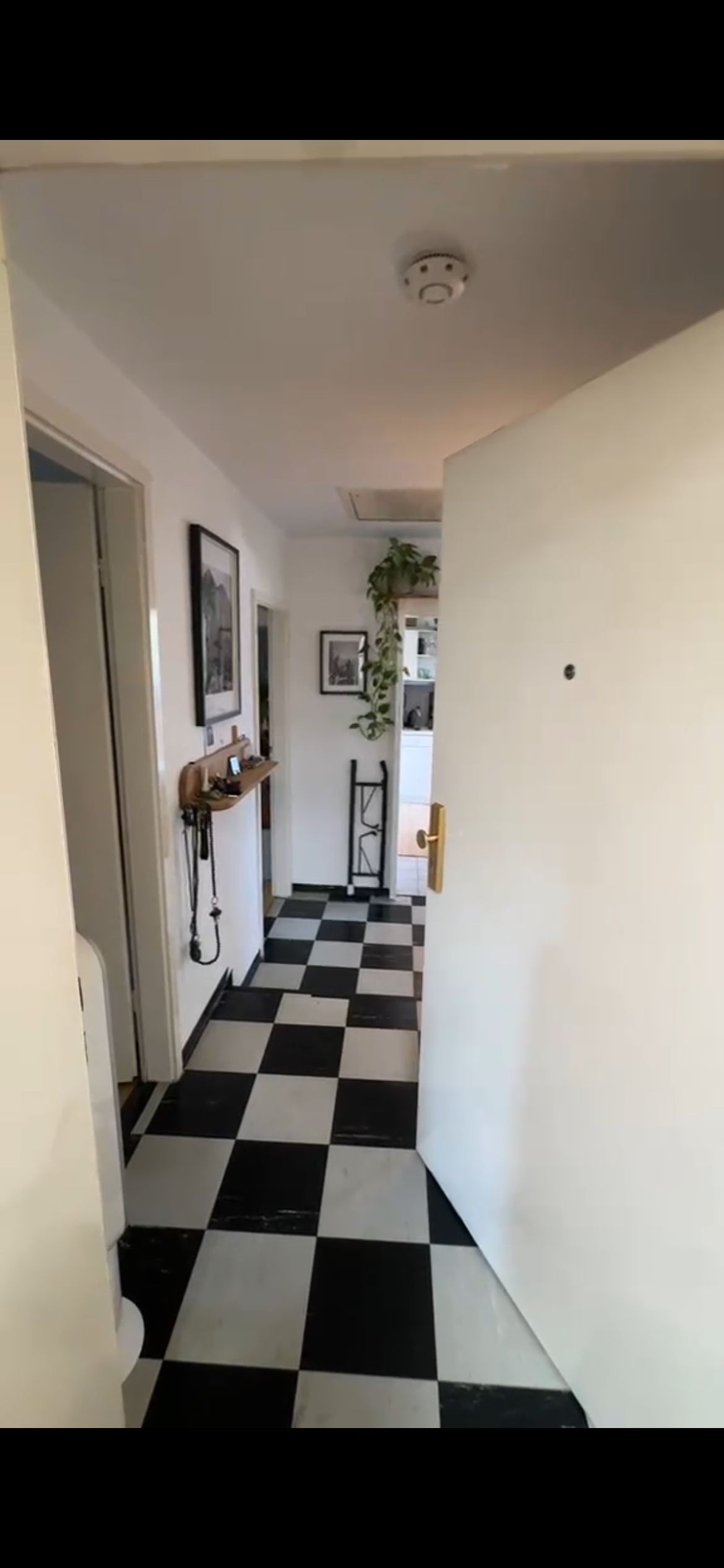 image-17