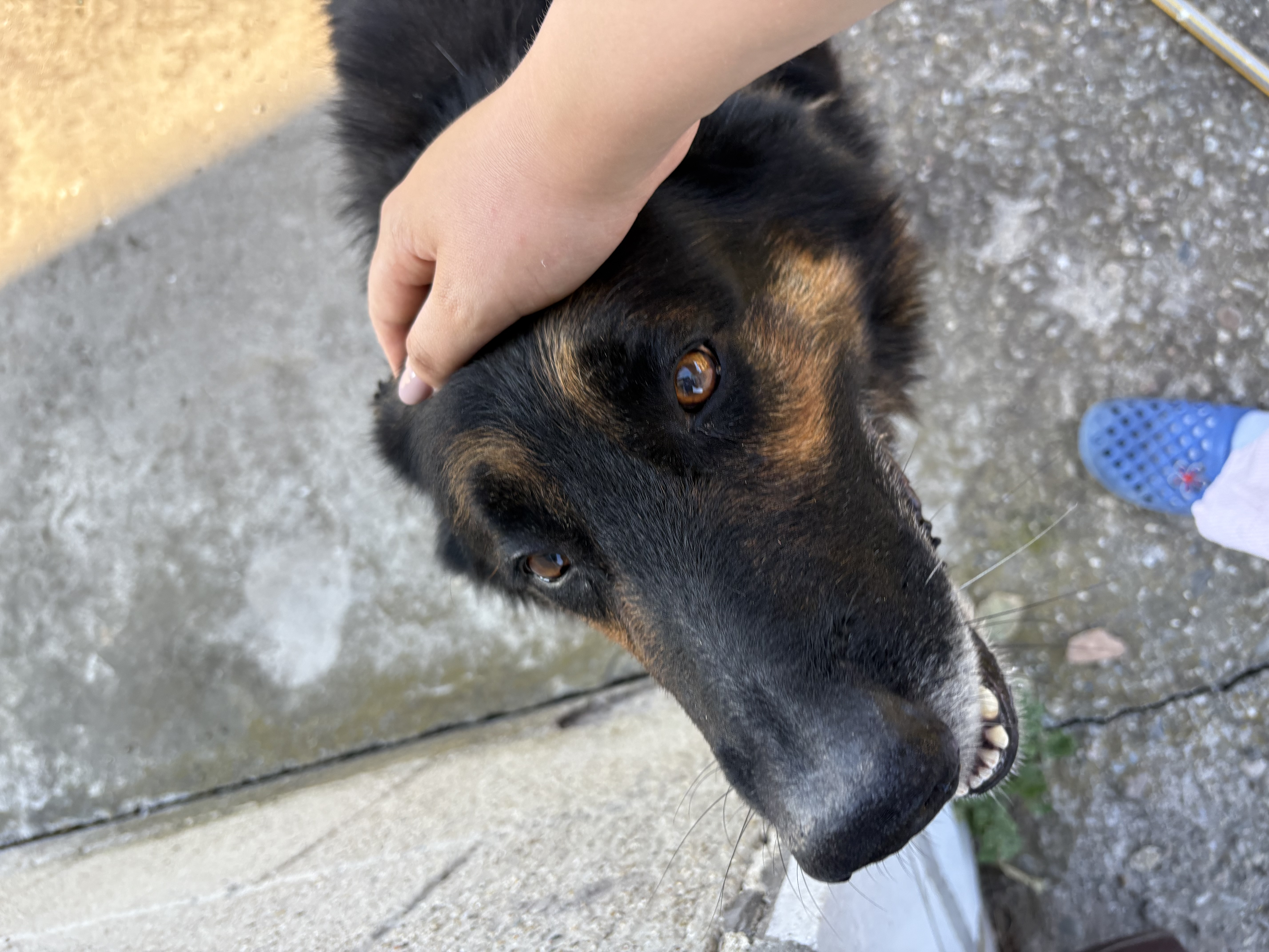 image-9