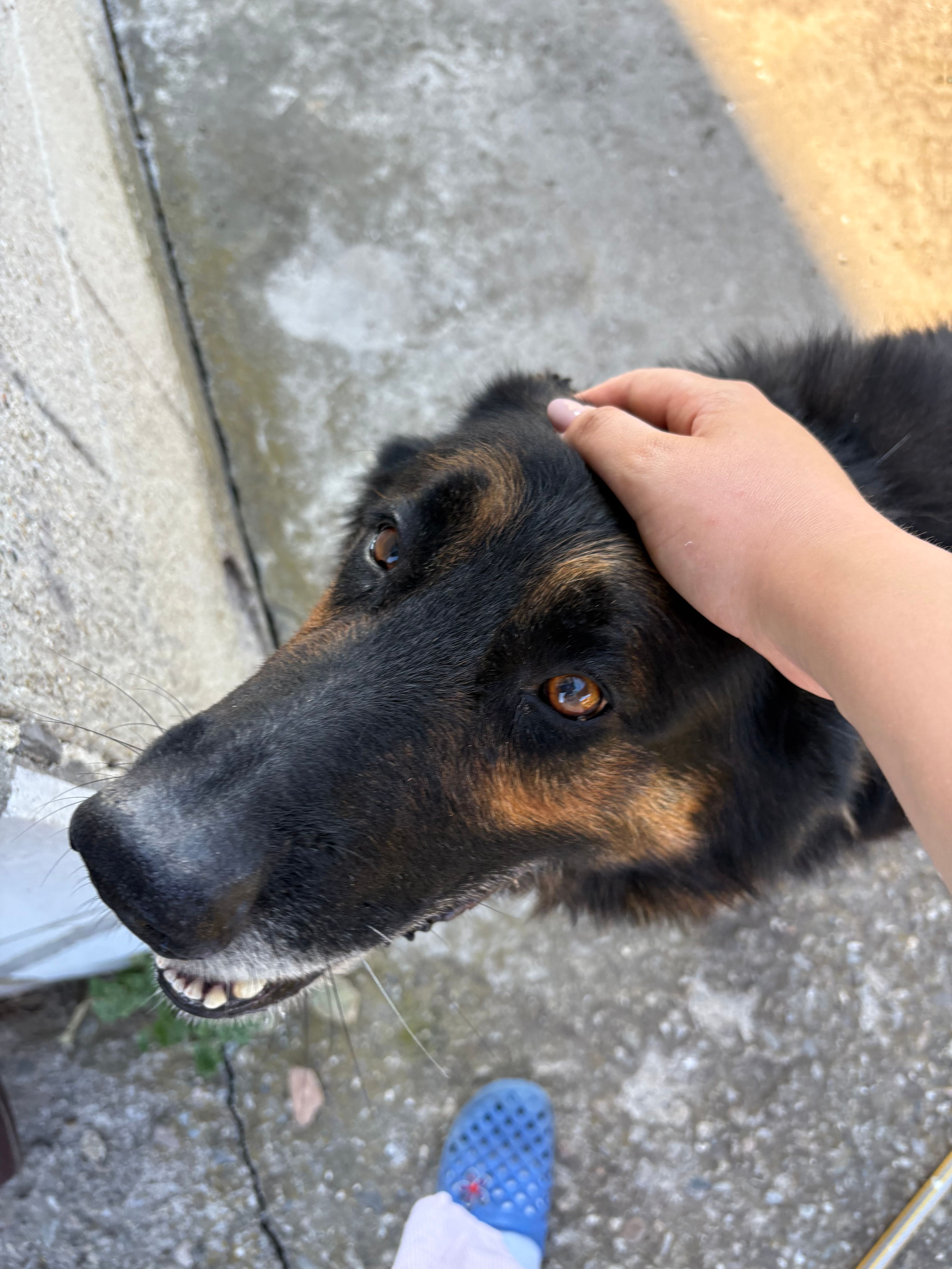image-9