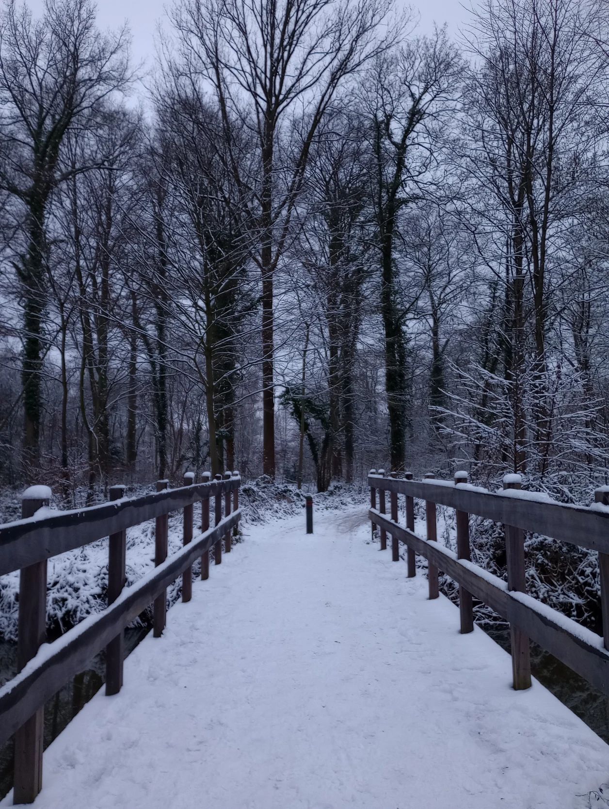 image-15