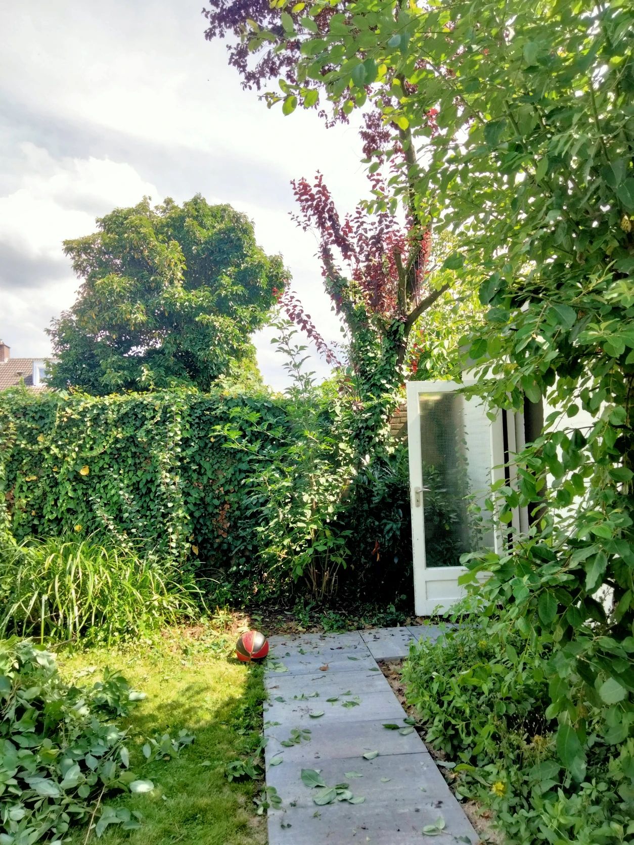 image-18
