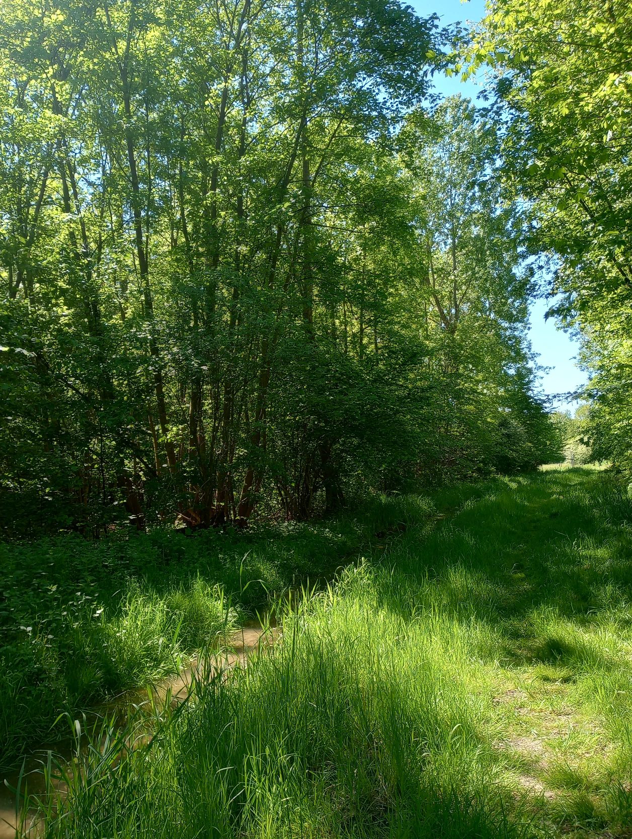 image-14