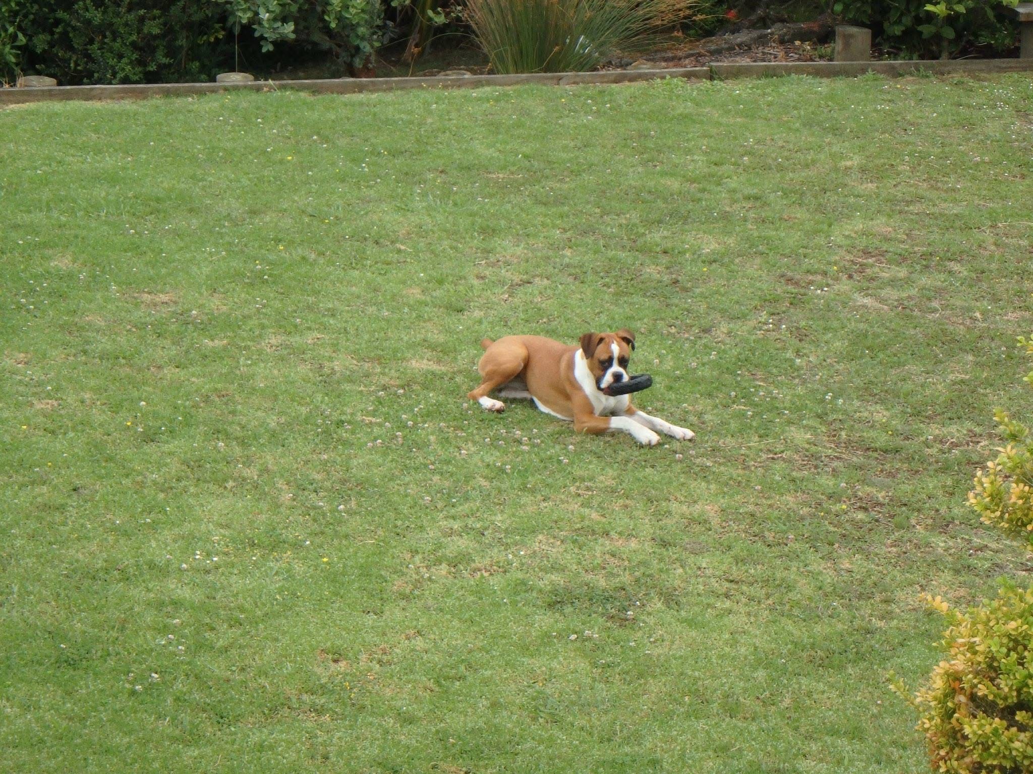 image-3