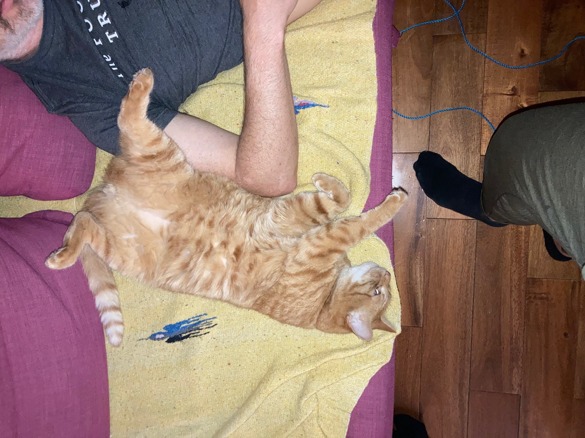 image-5