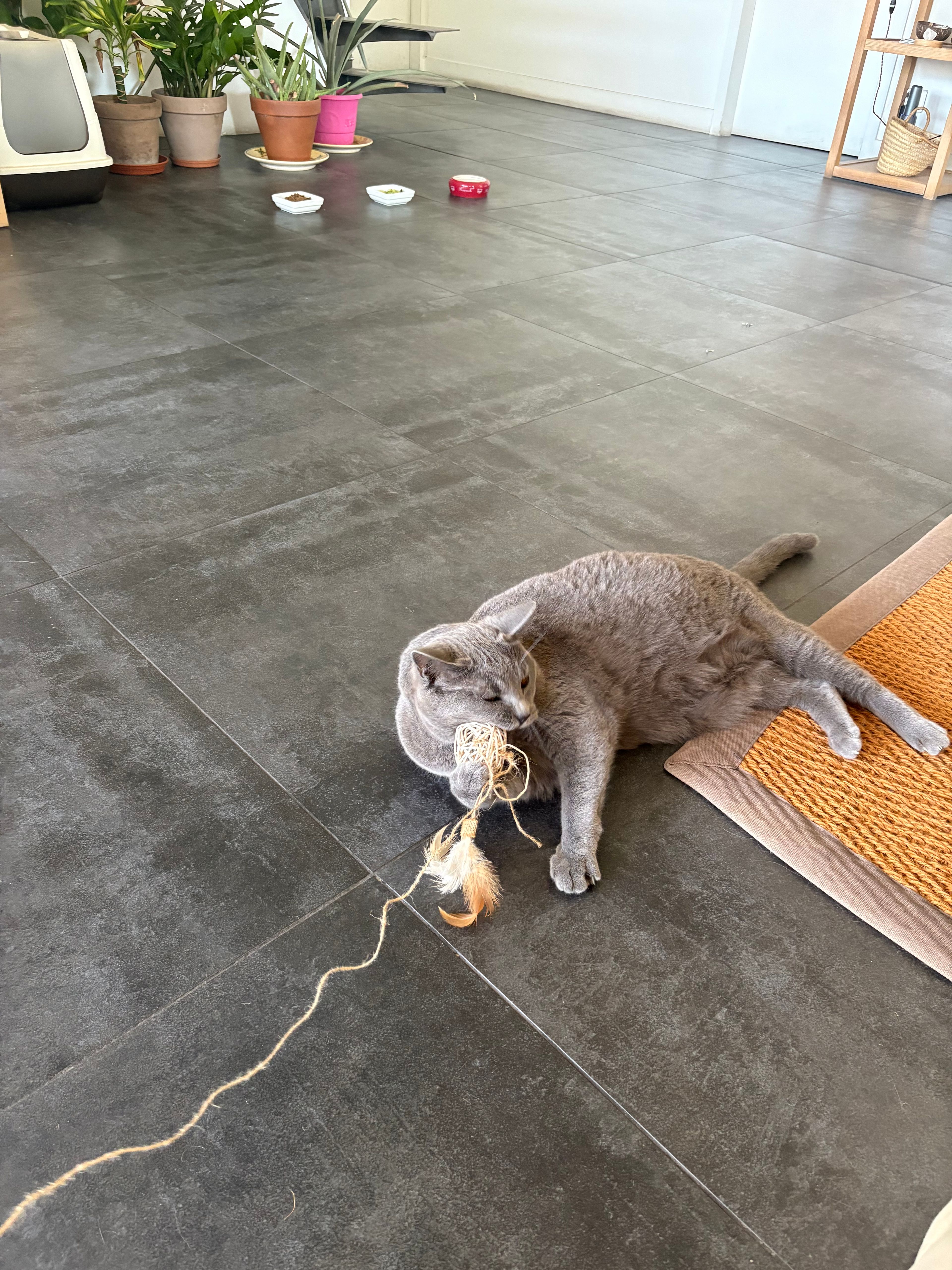 image-12