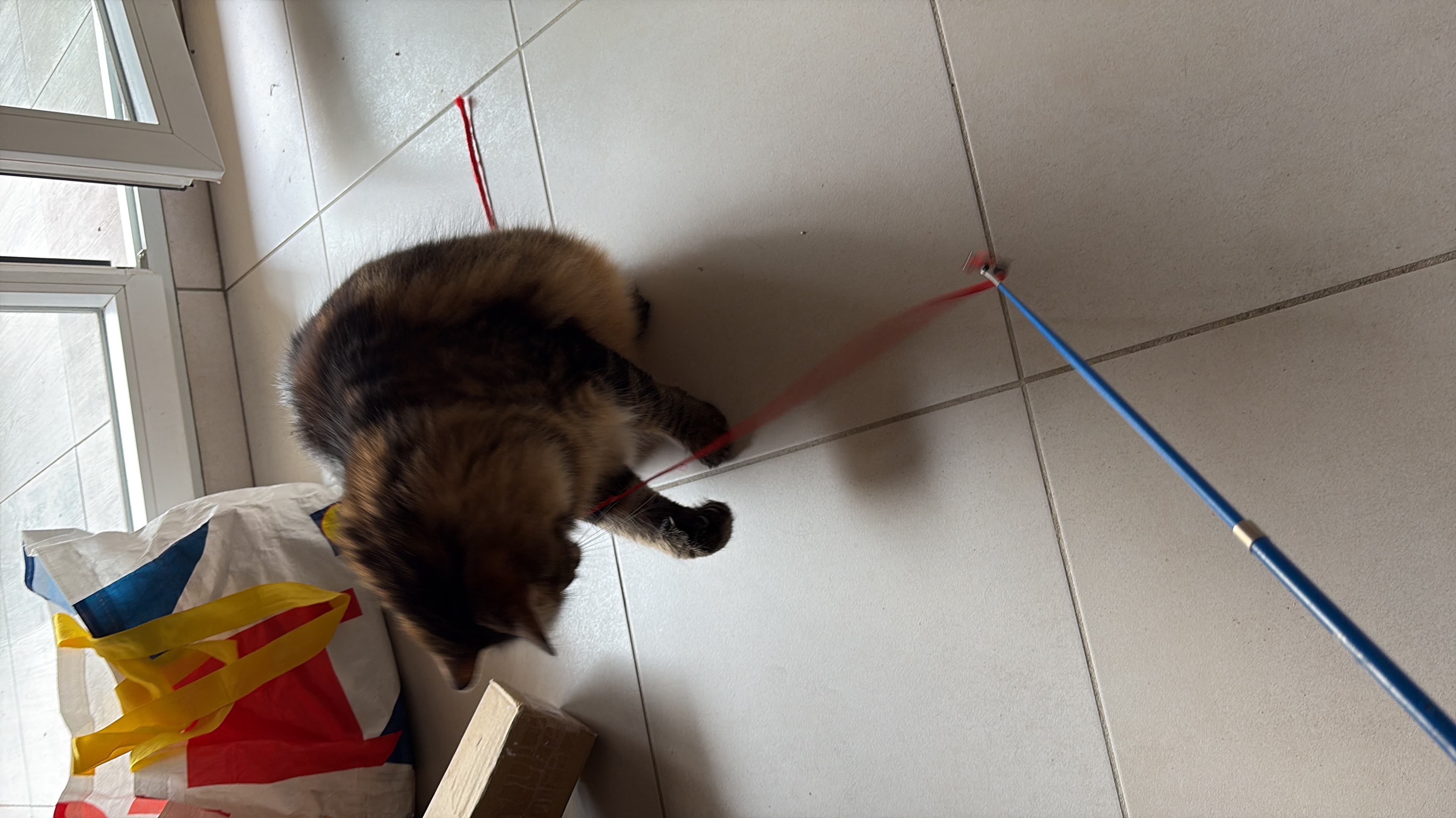 image-8