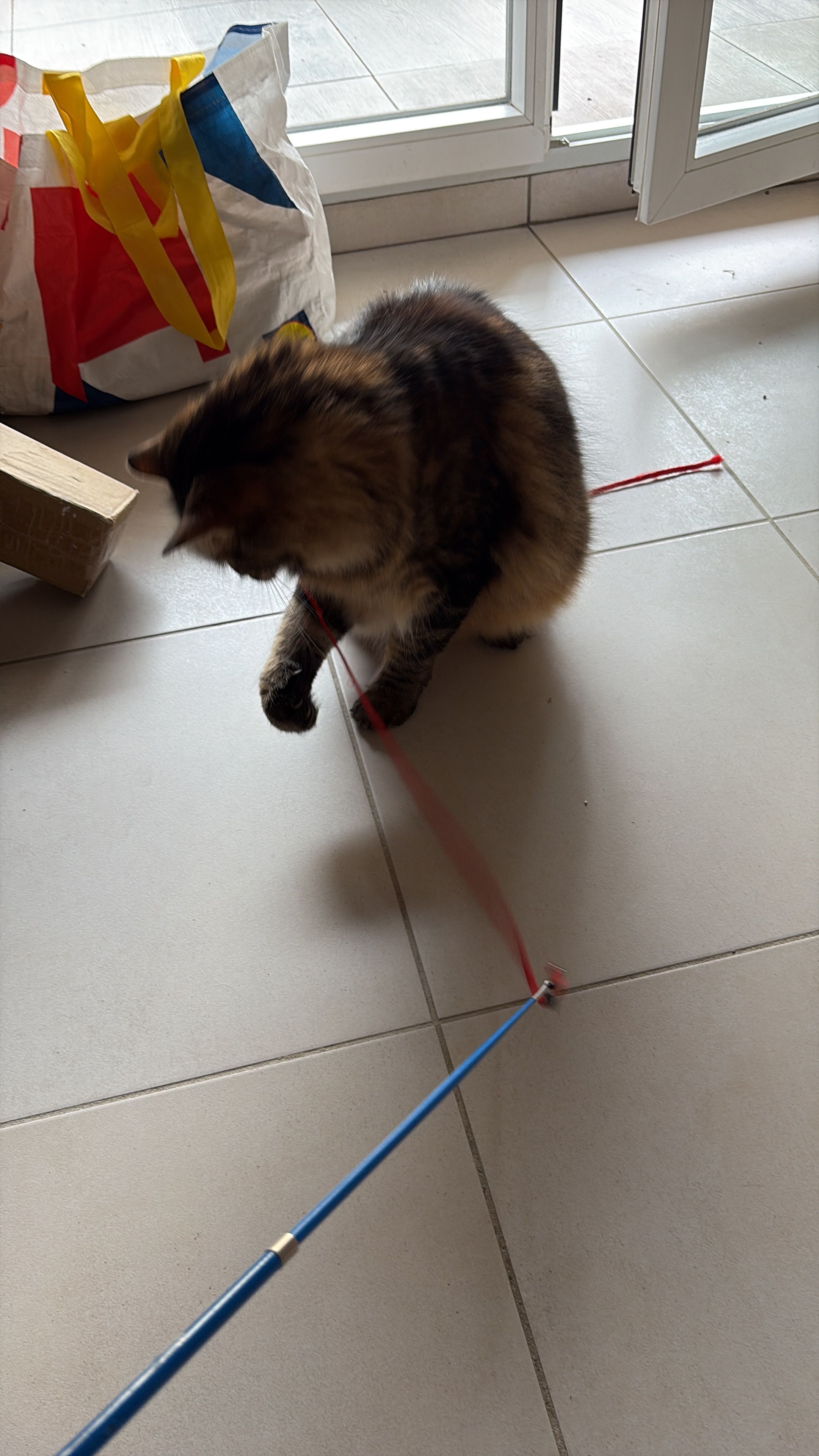 image-8