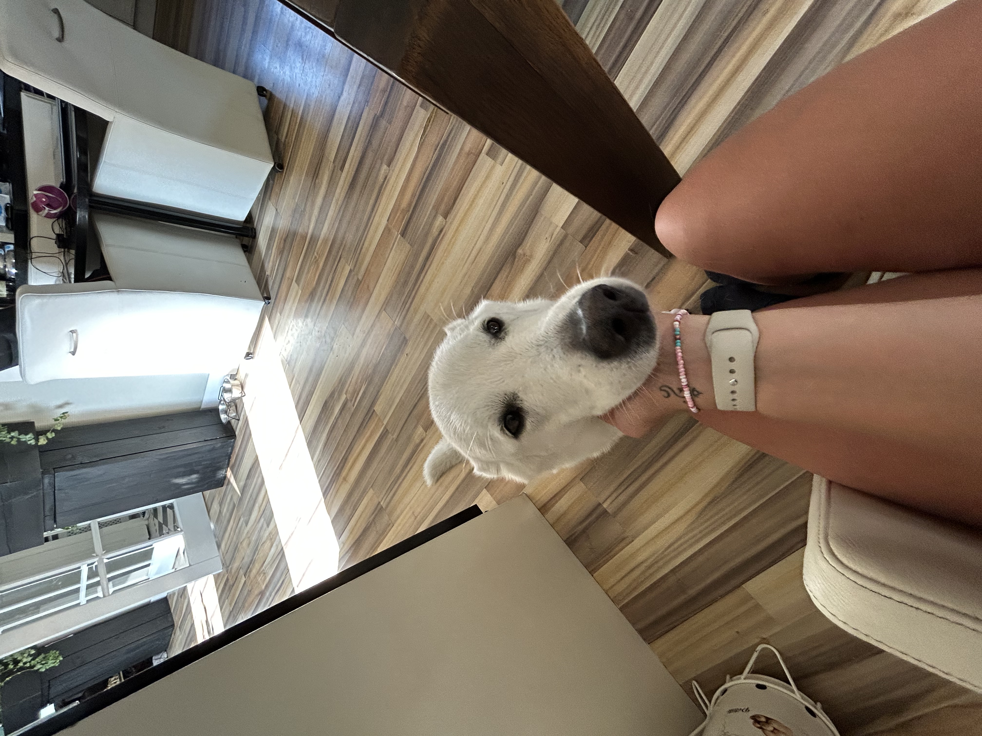 image-7