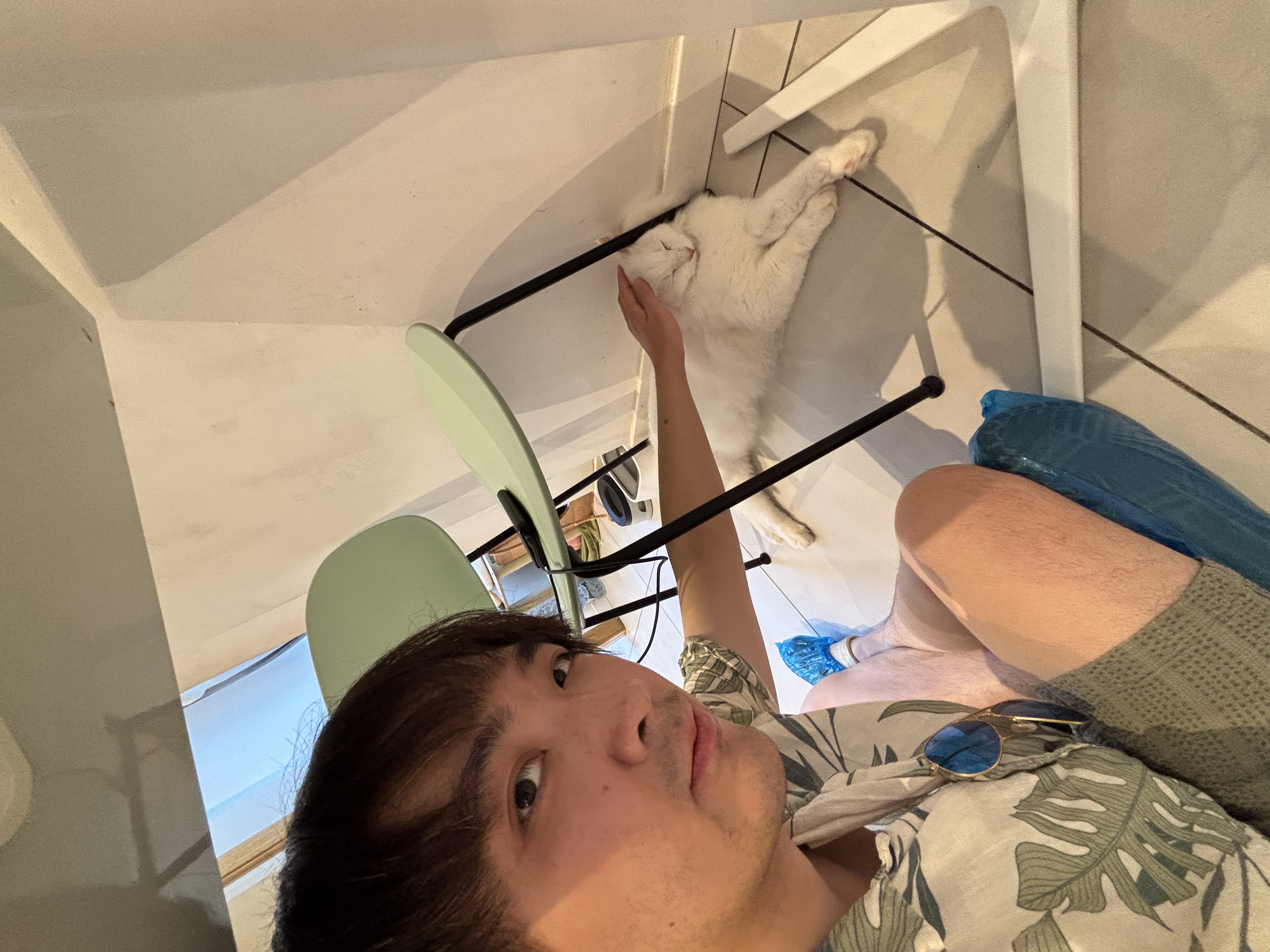 image-6