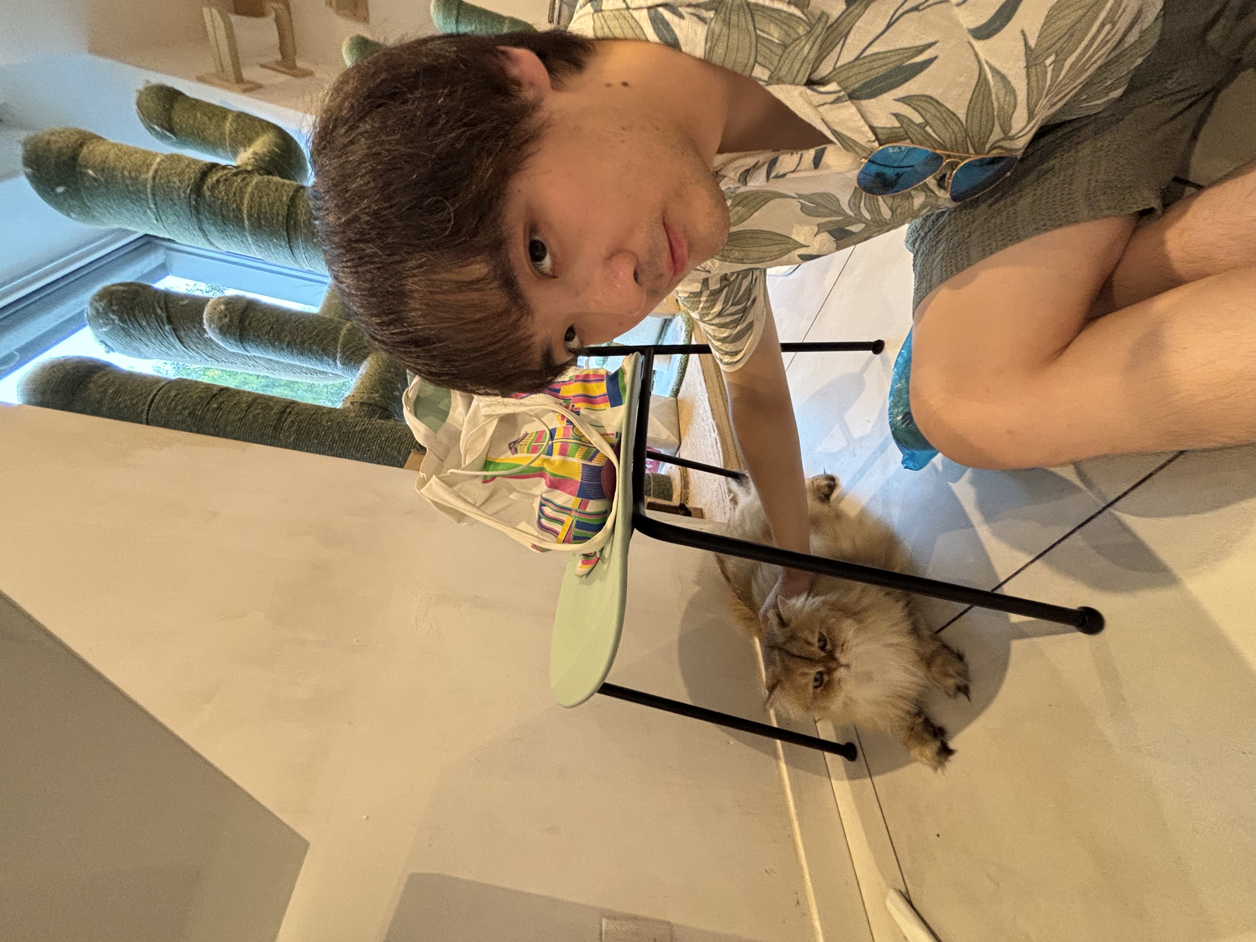 image-4