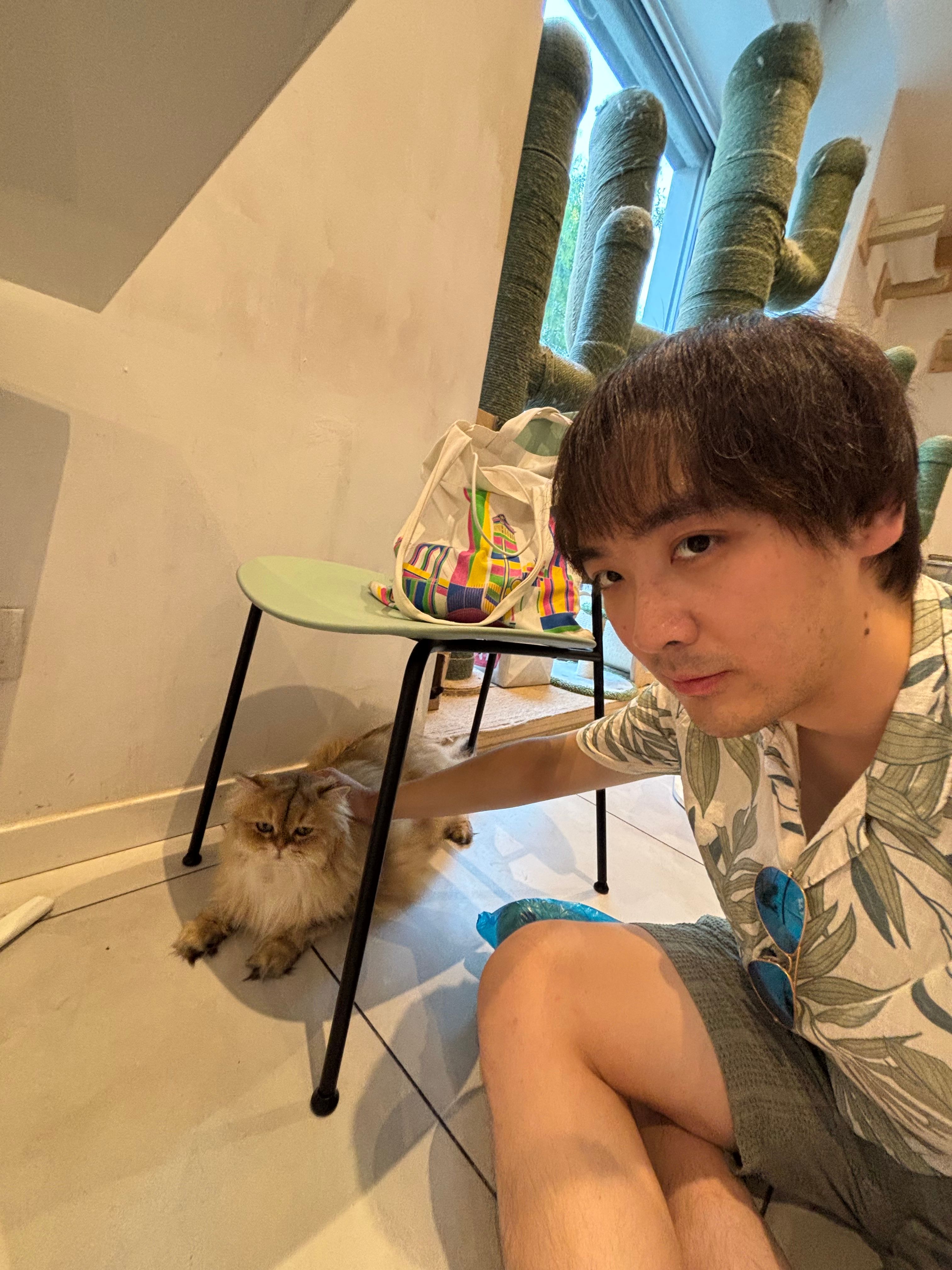 image-4
