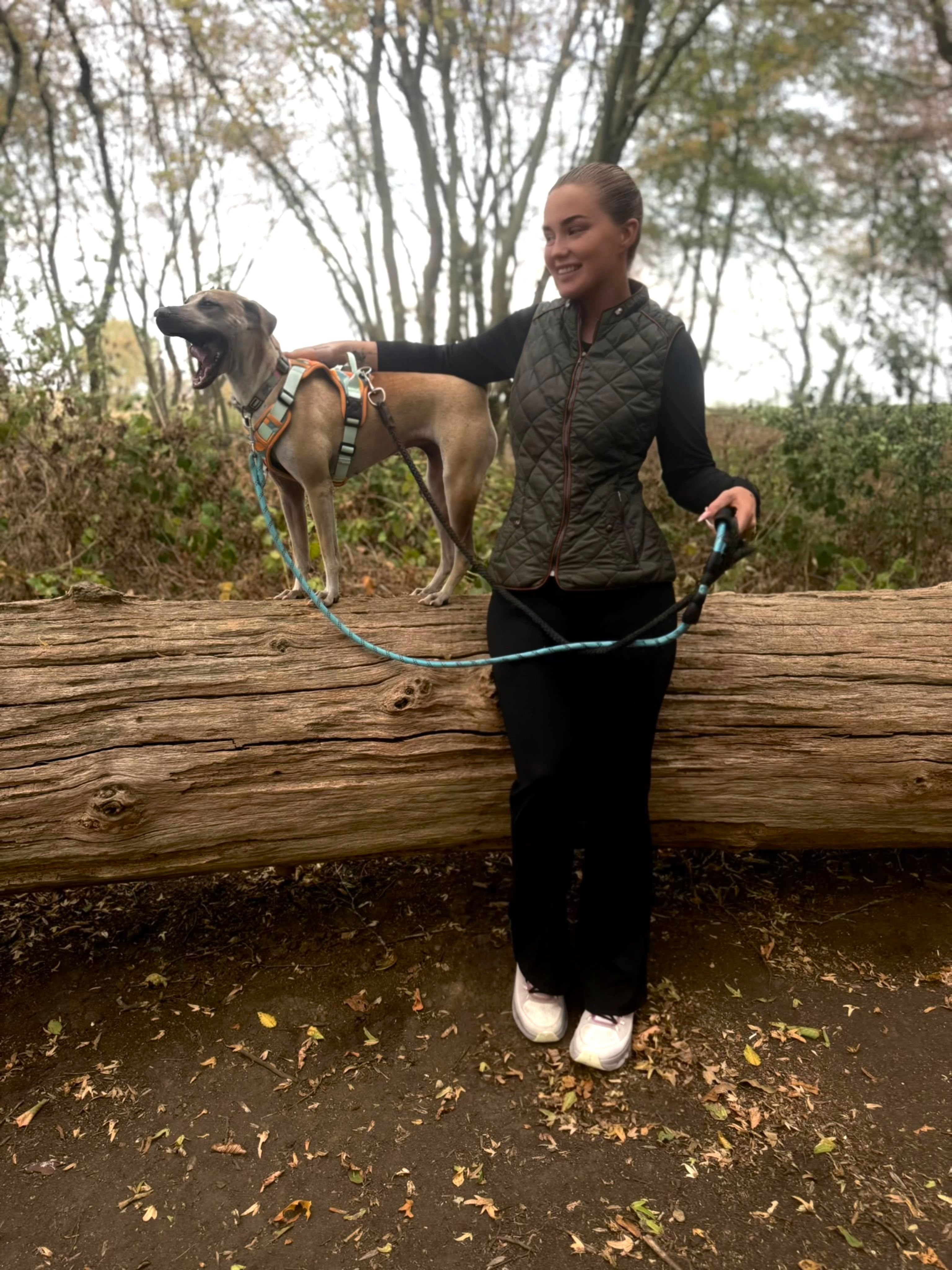 image-0