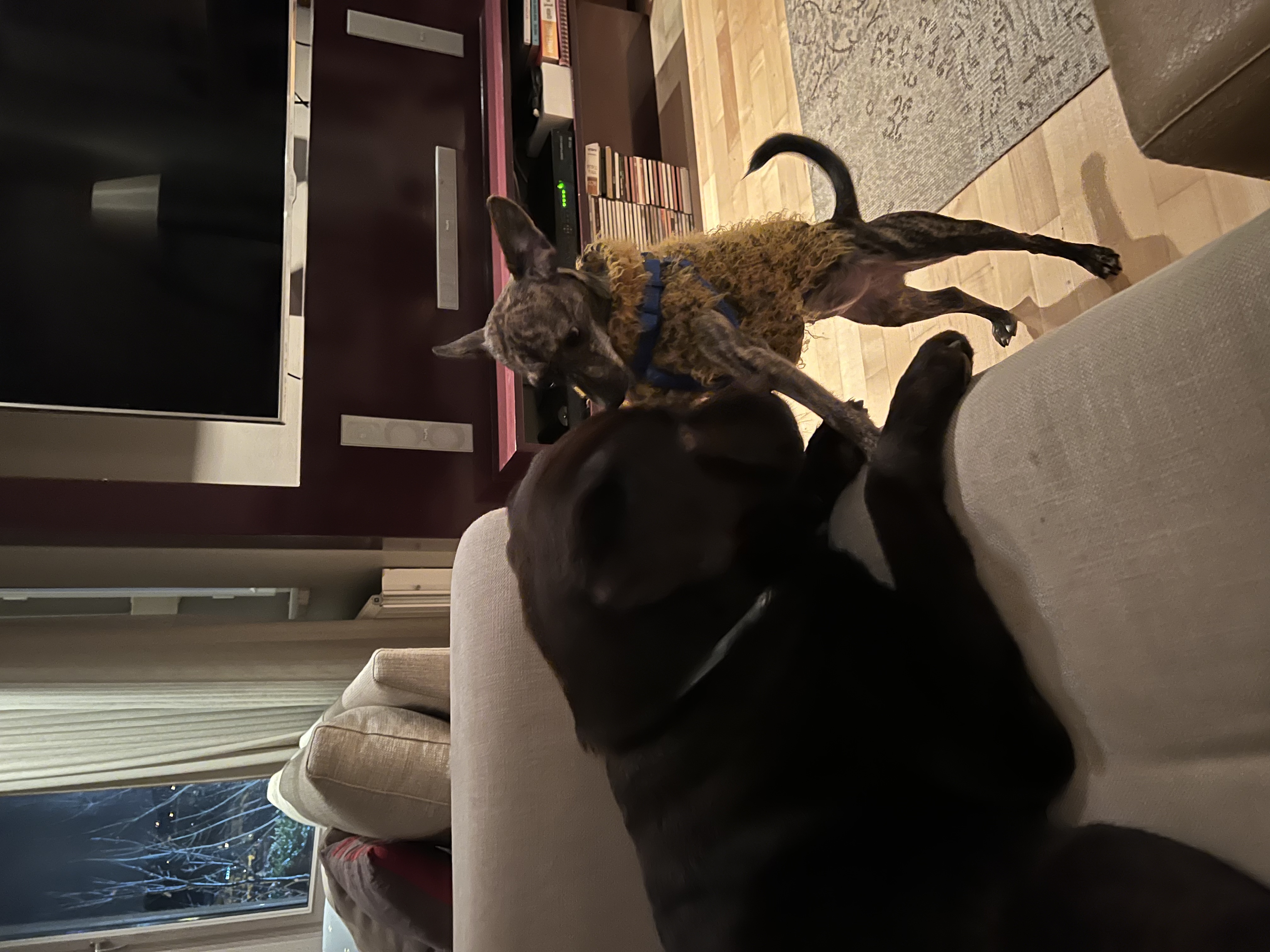 image-13