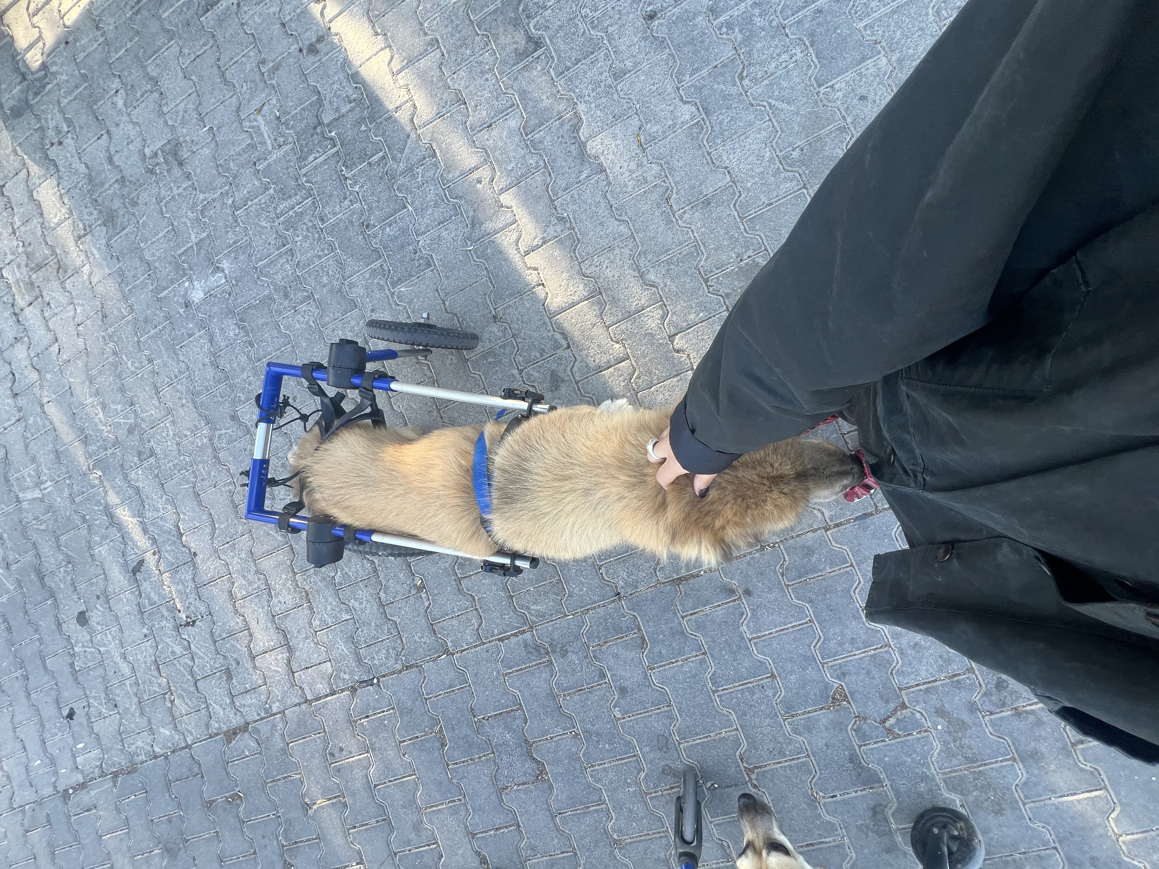 image-11
