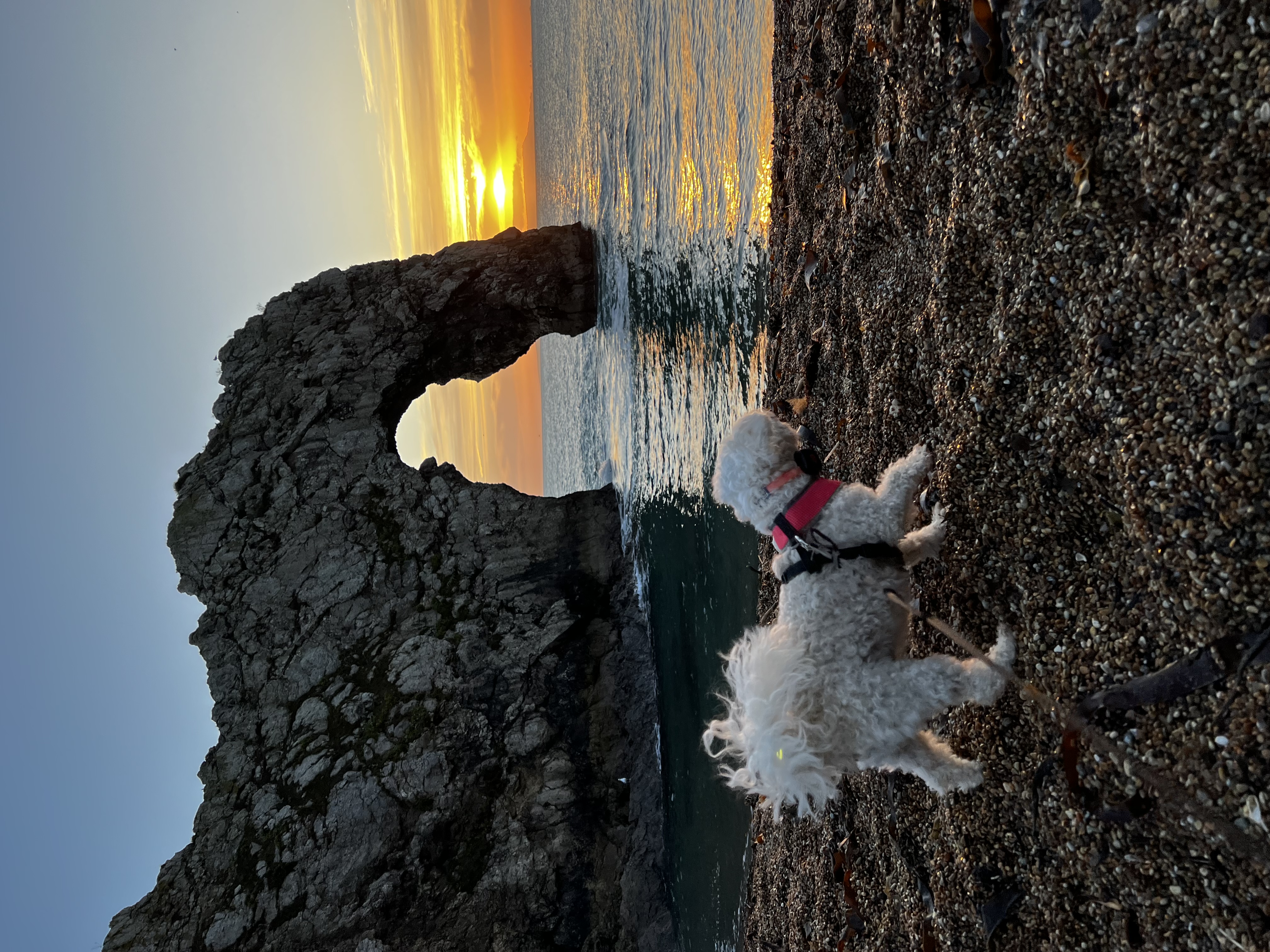 image-7