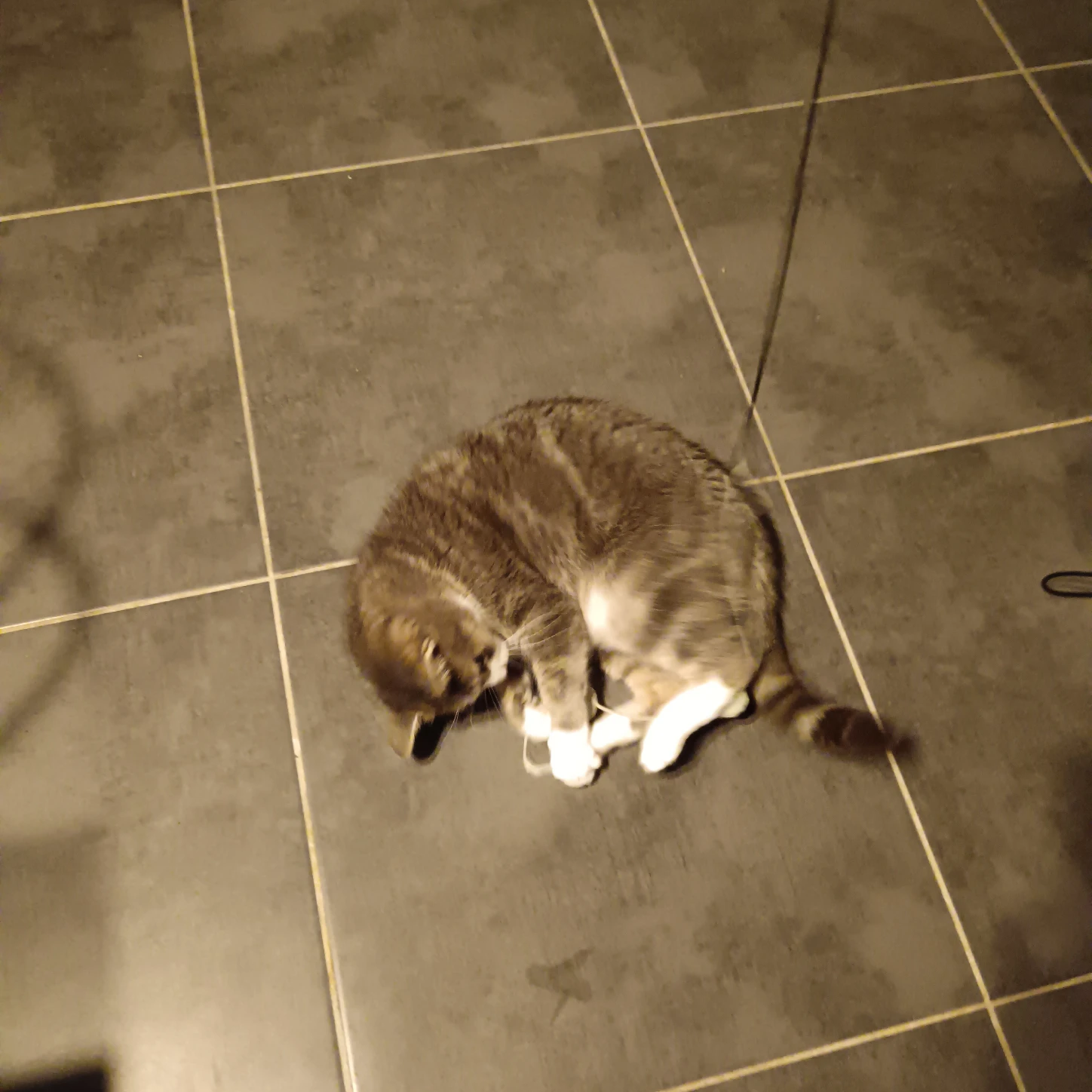 image-10