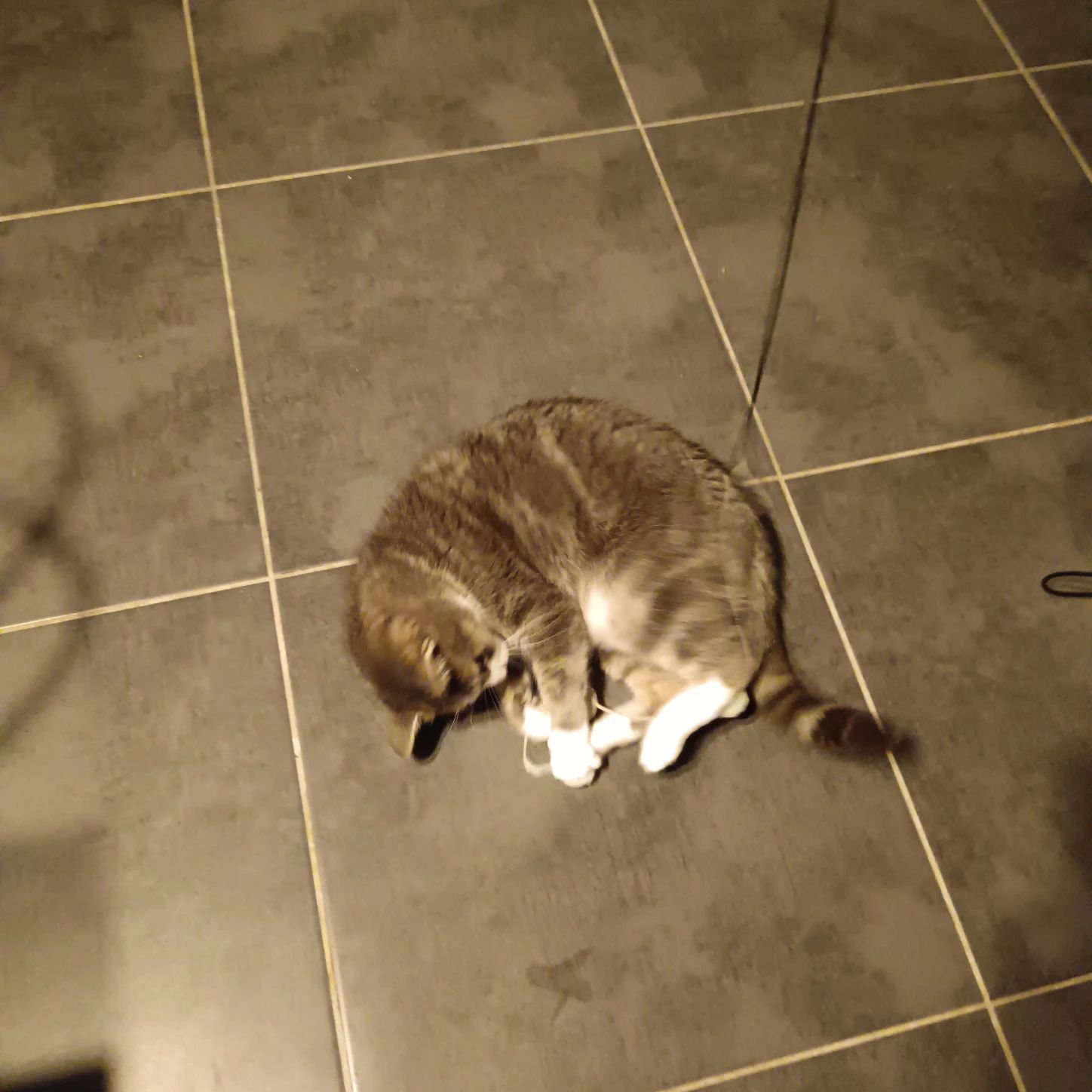image-10