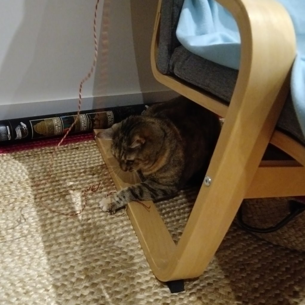 image-1
