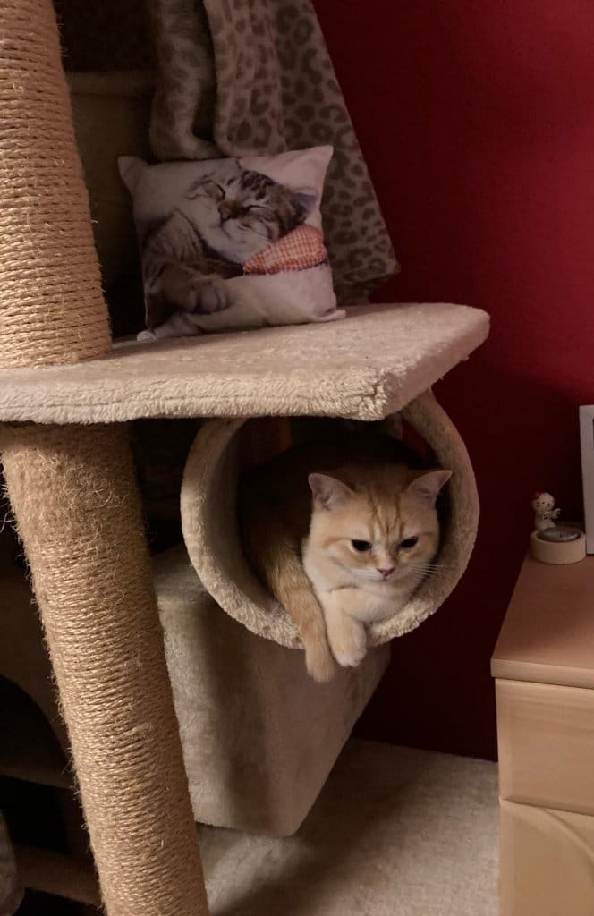 image-6