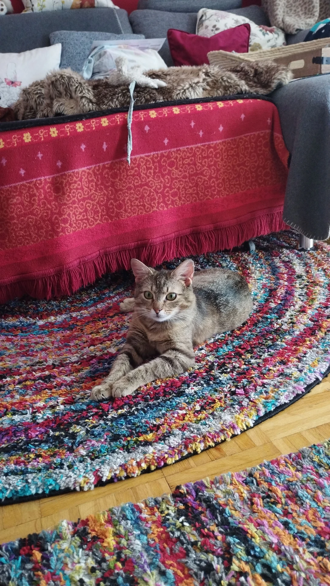 image-7