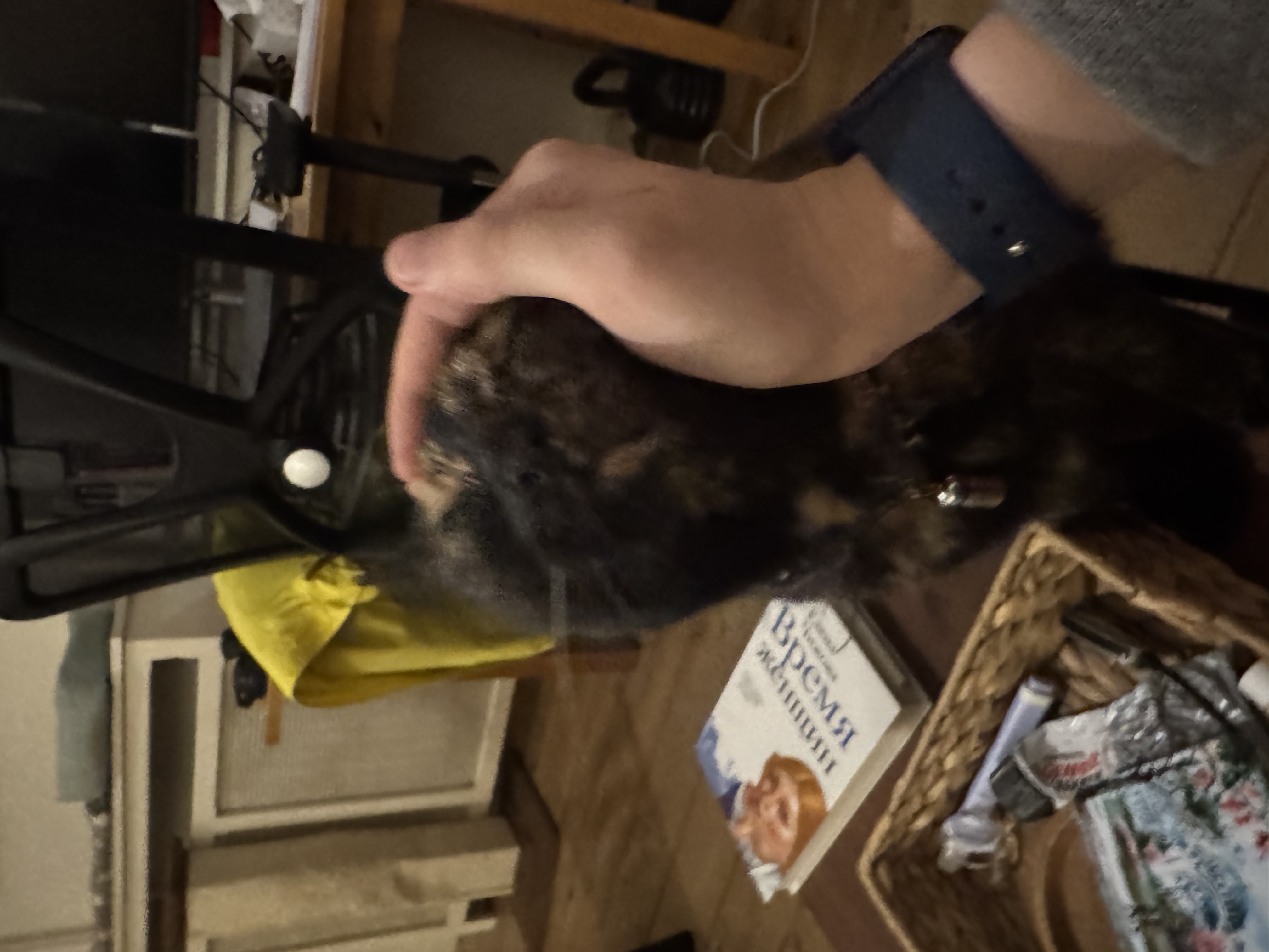 image-4