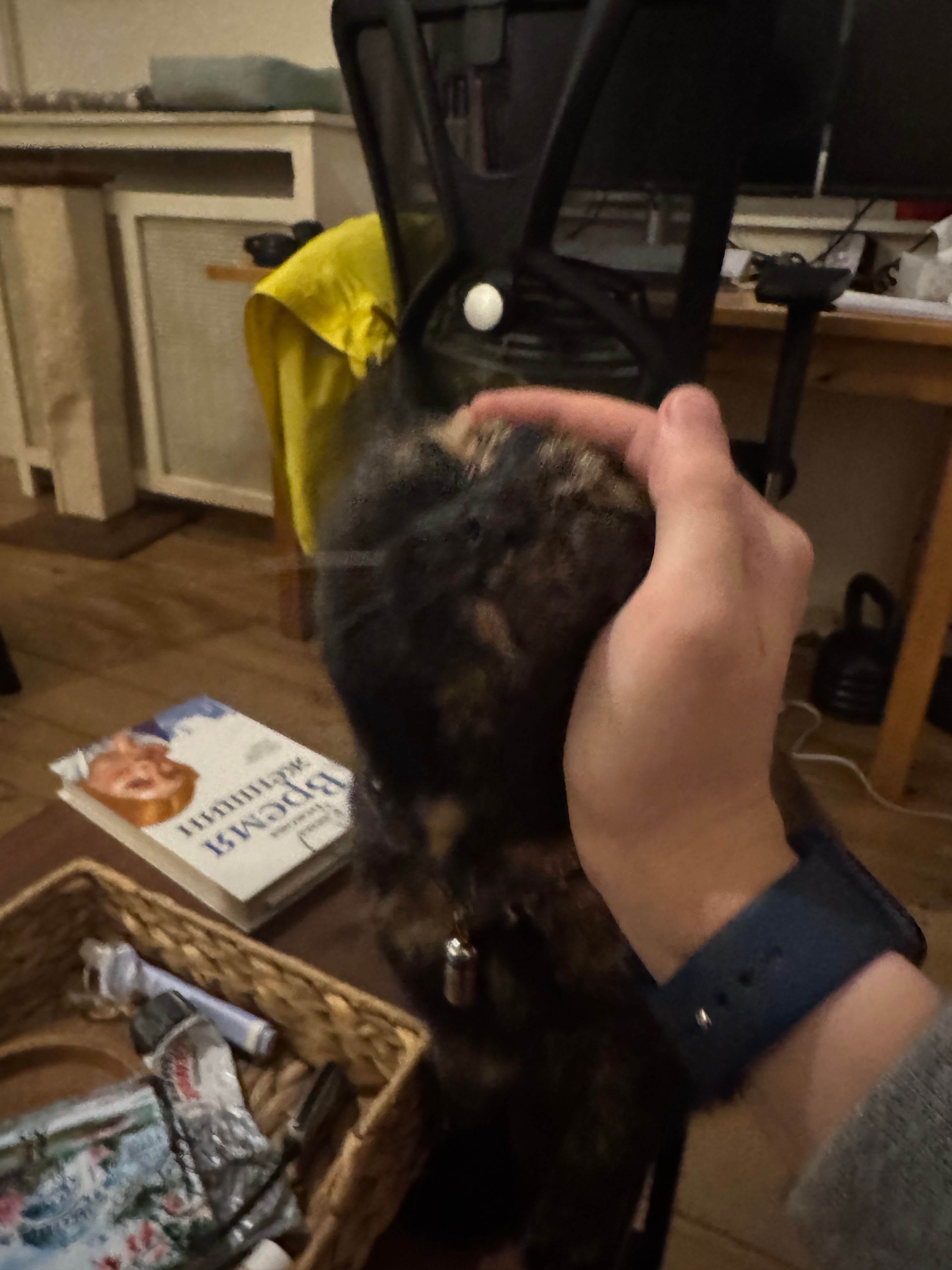 image-4