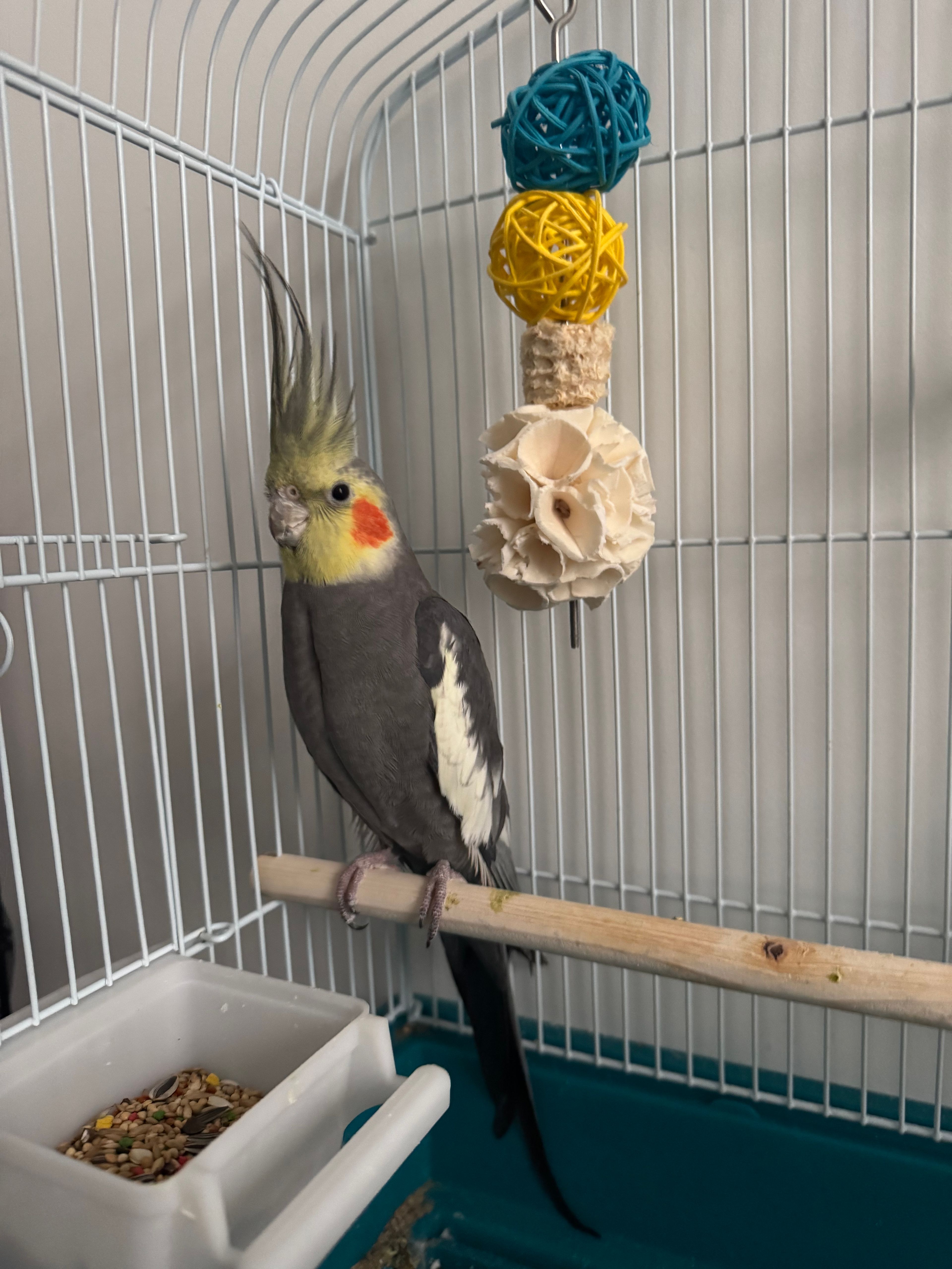 image-15