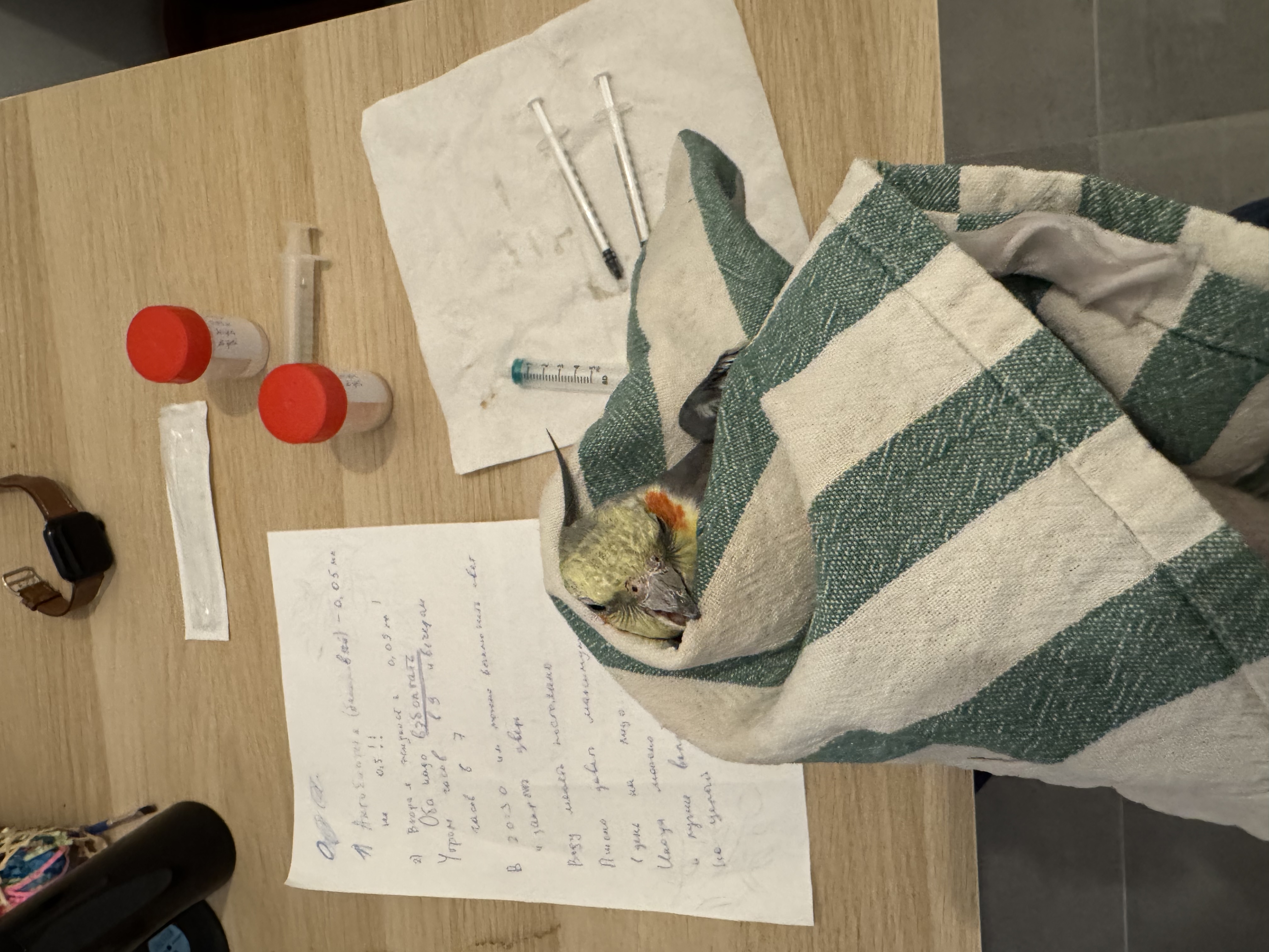 image-2
