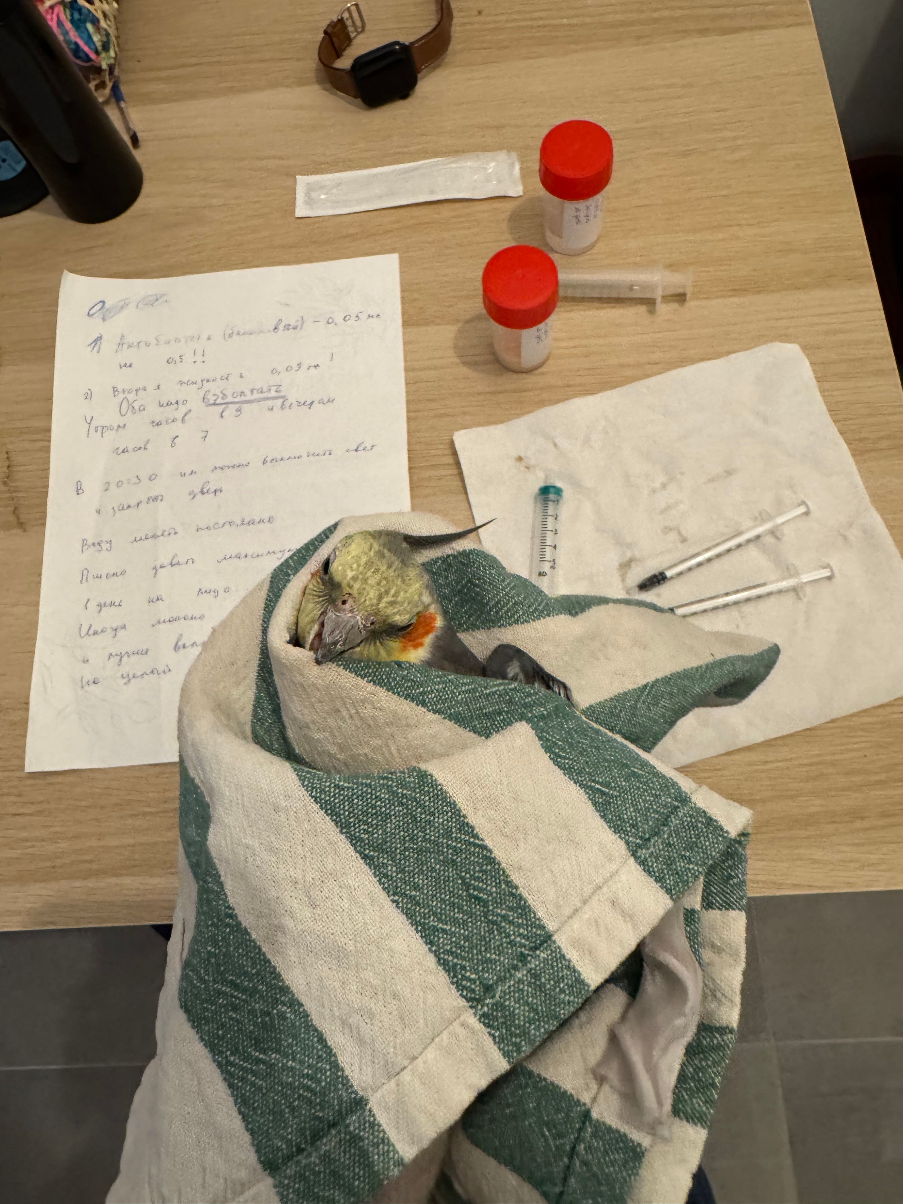 image-2
