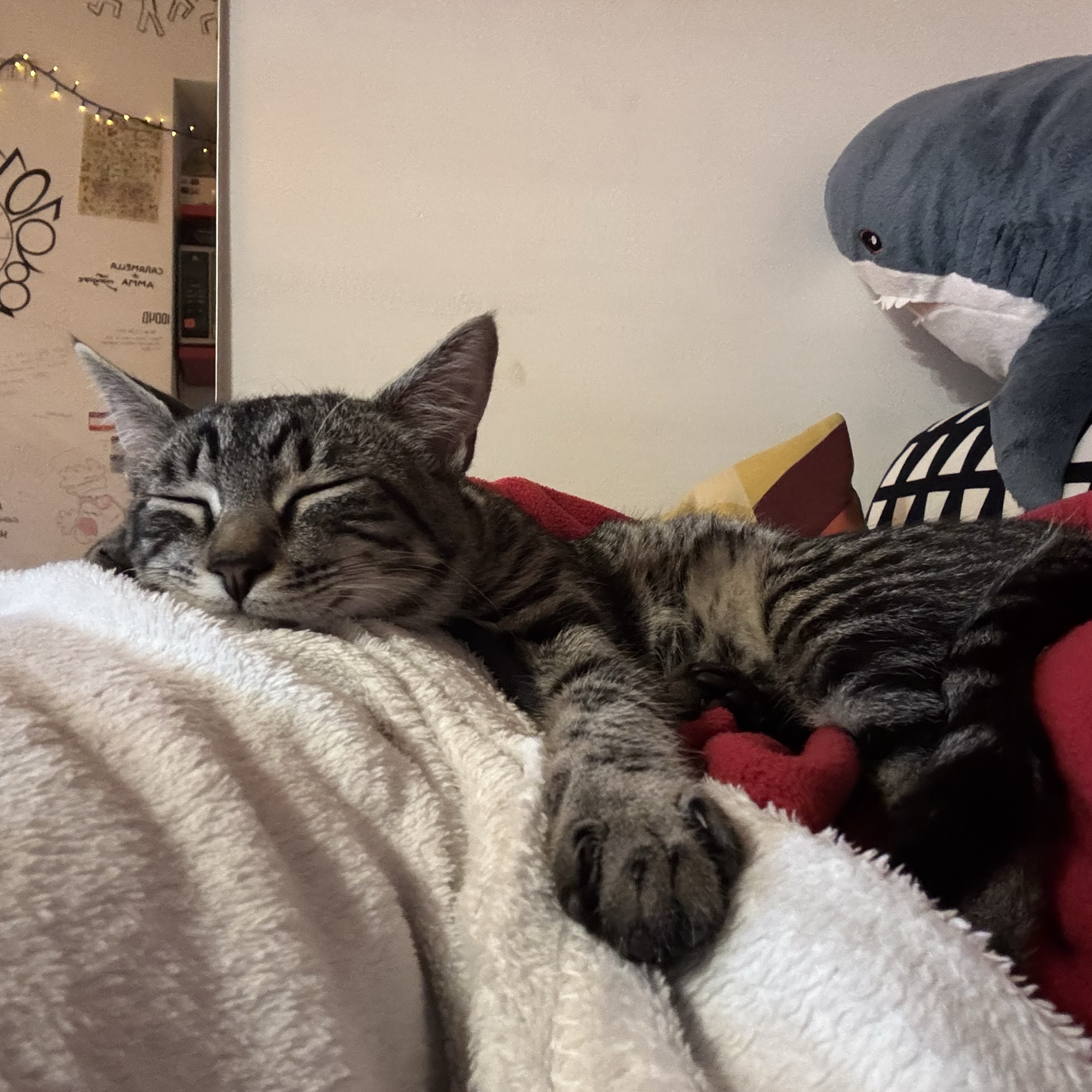 Leopoldo 