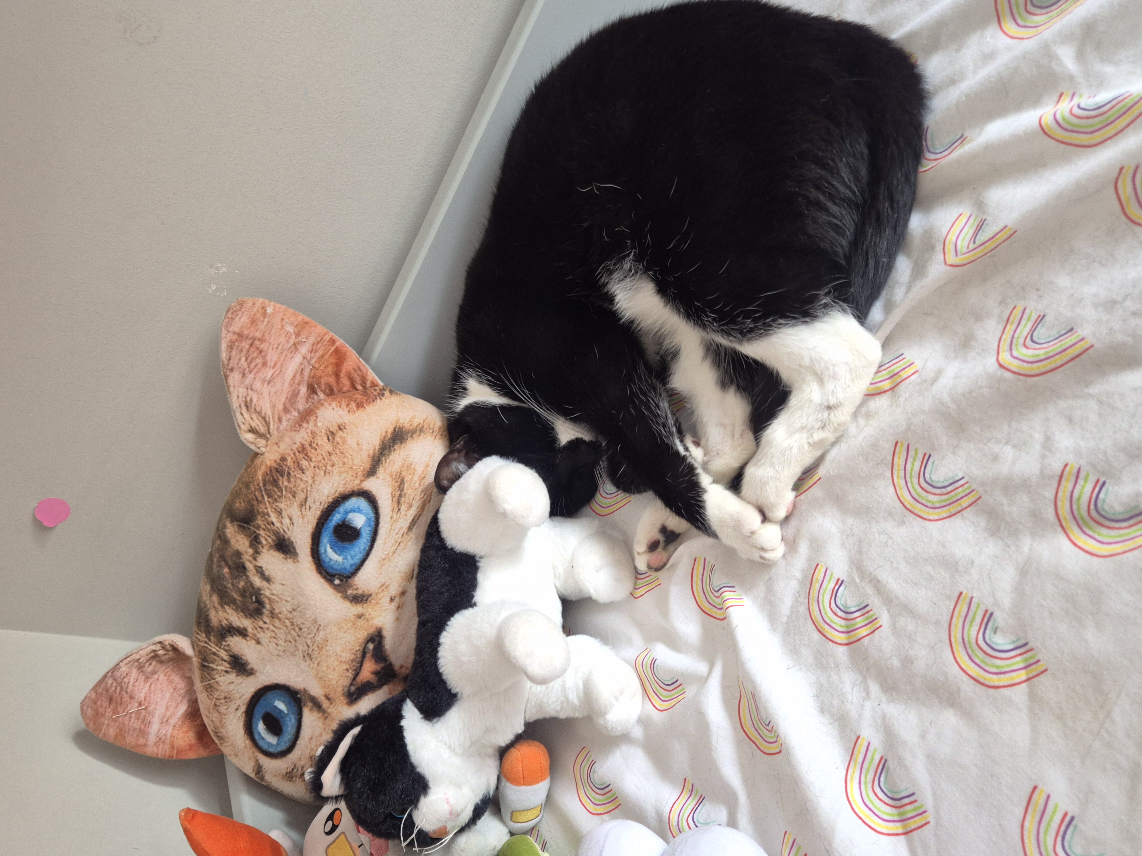 image-8