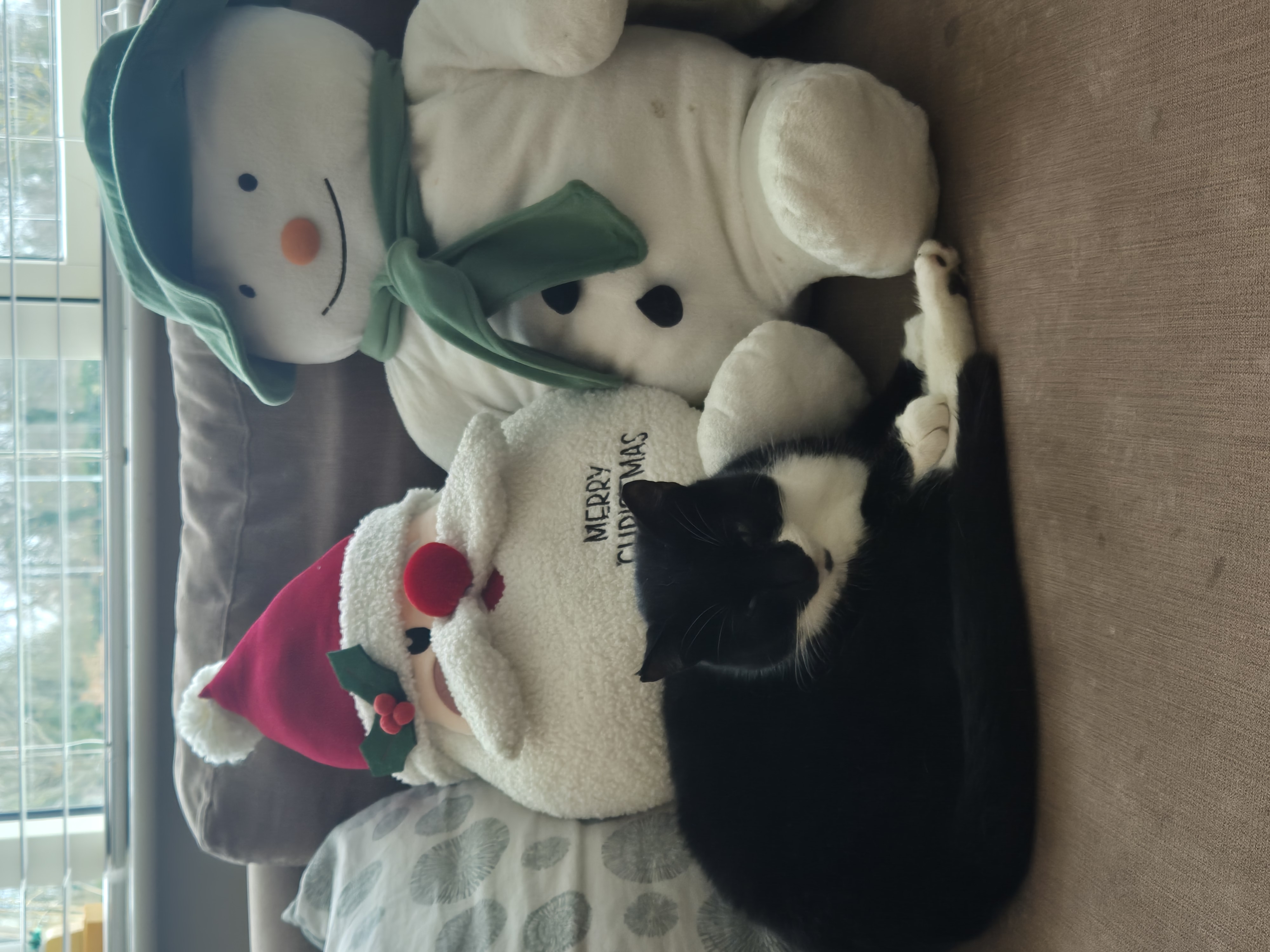 image-4