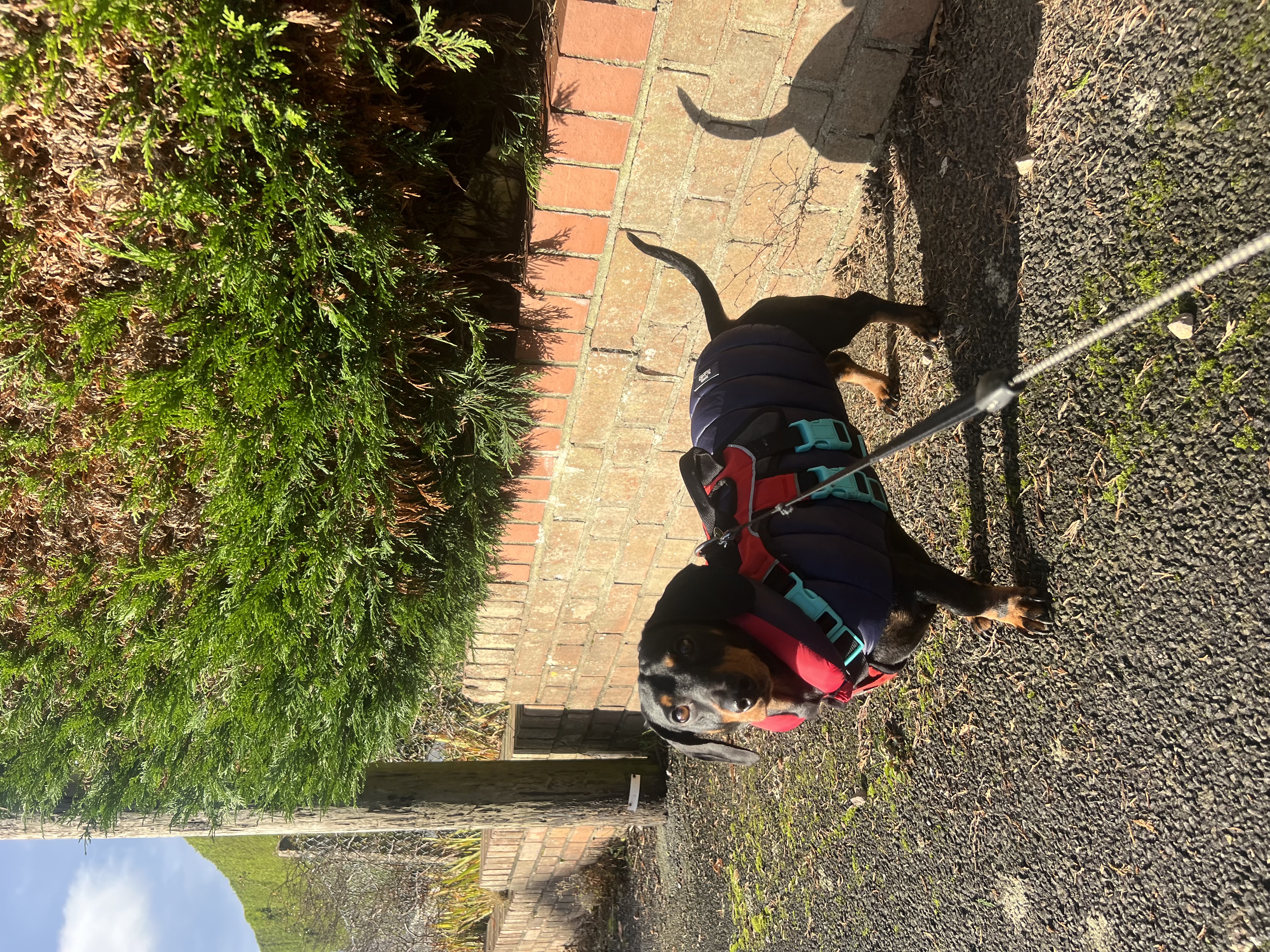 image-8