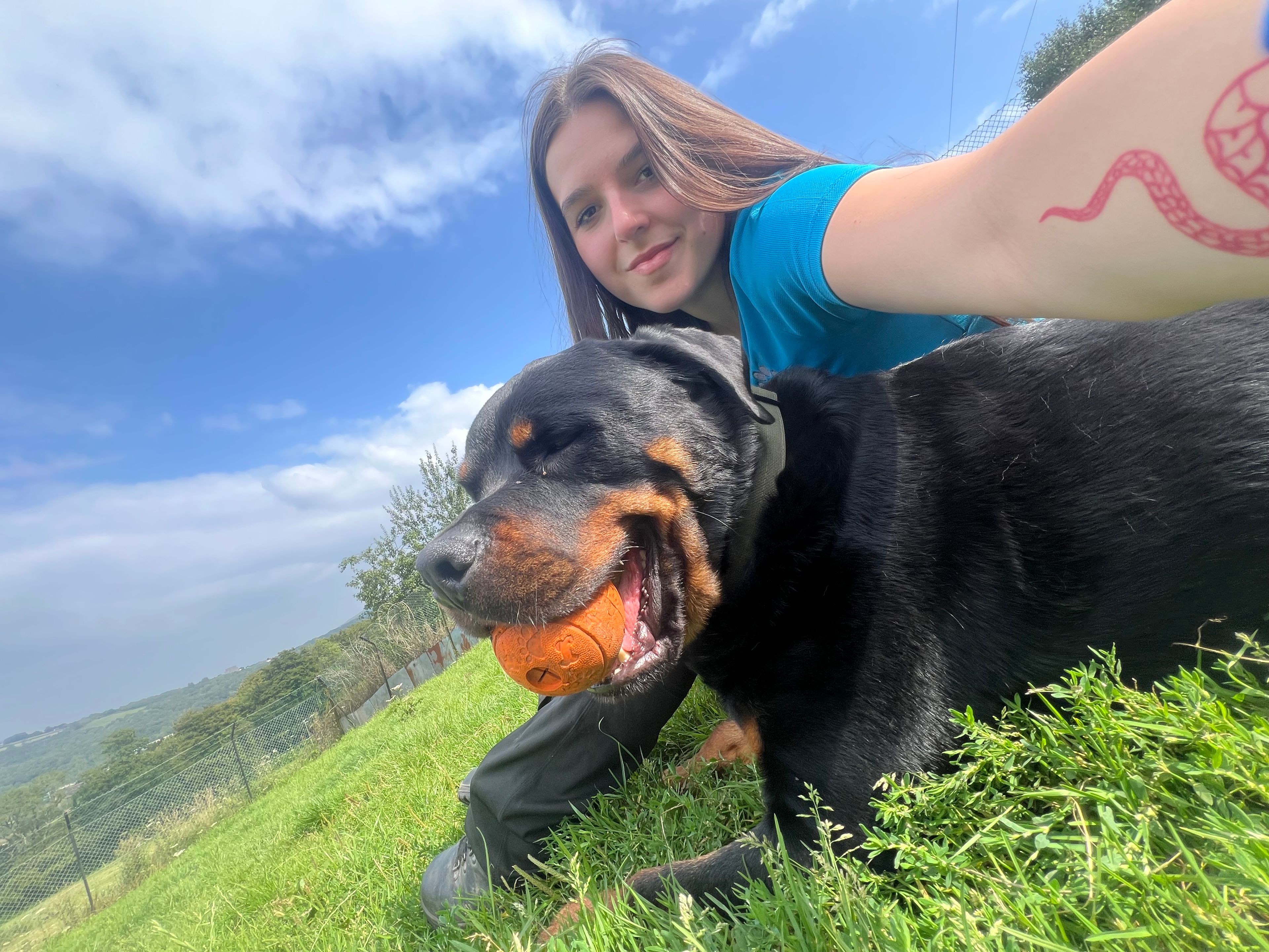 image-17