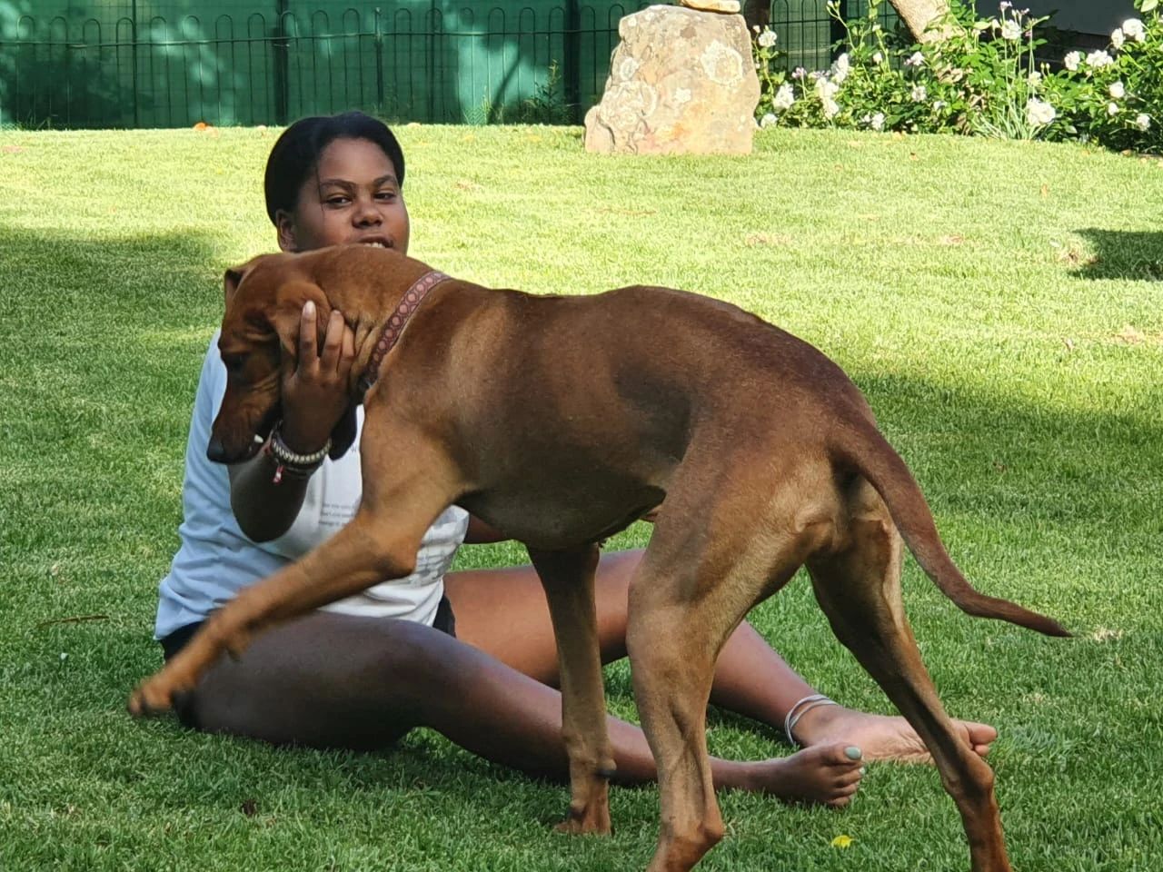 image-4