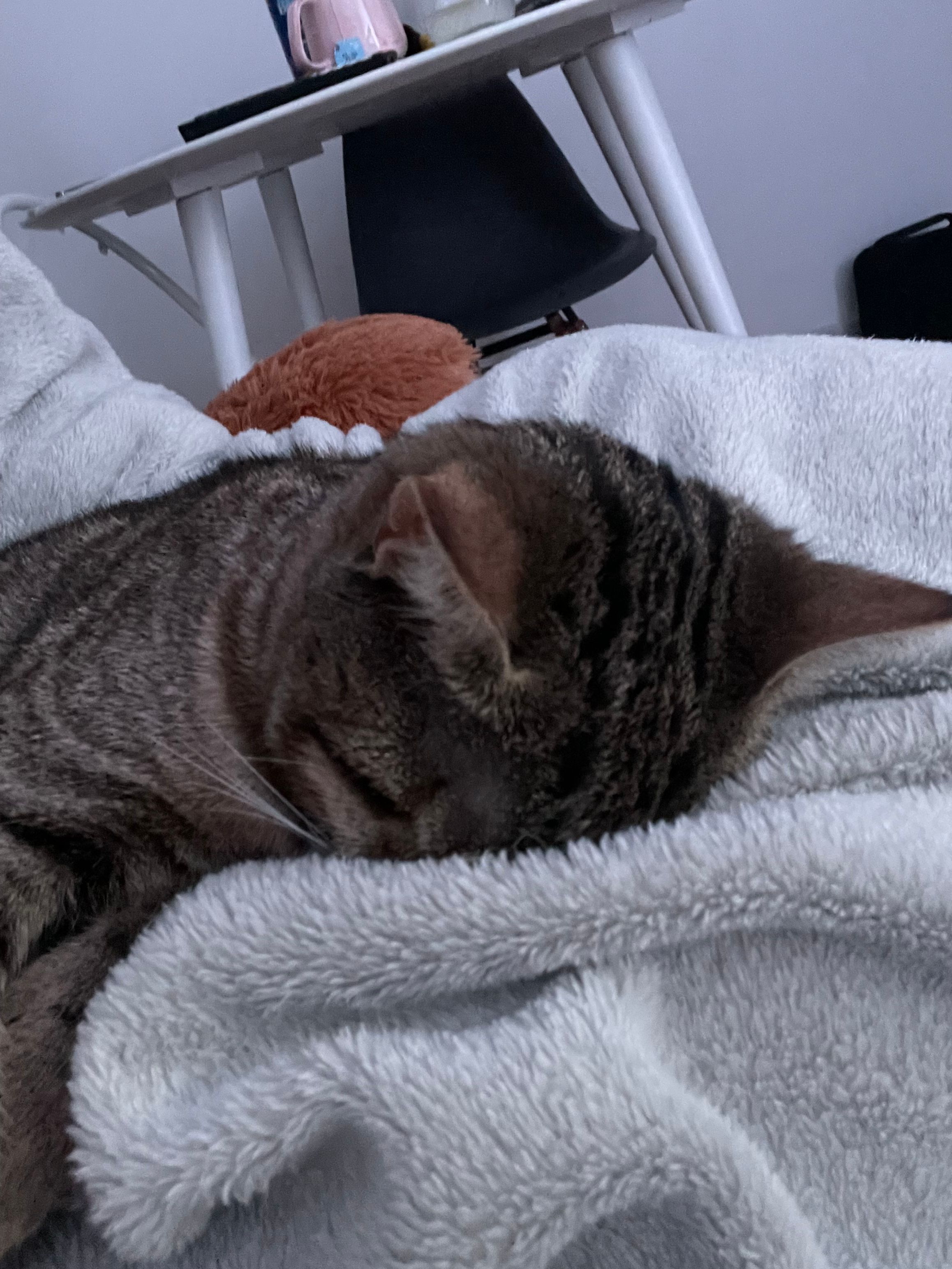 image-6