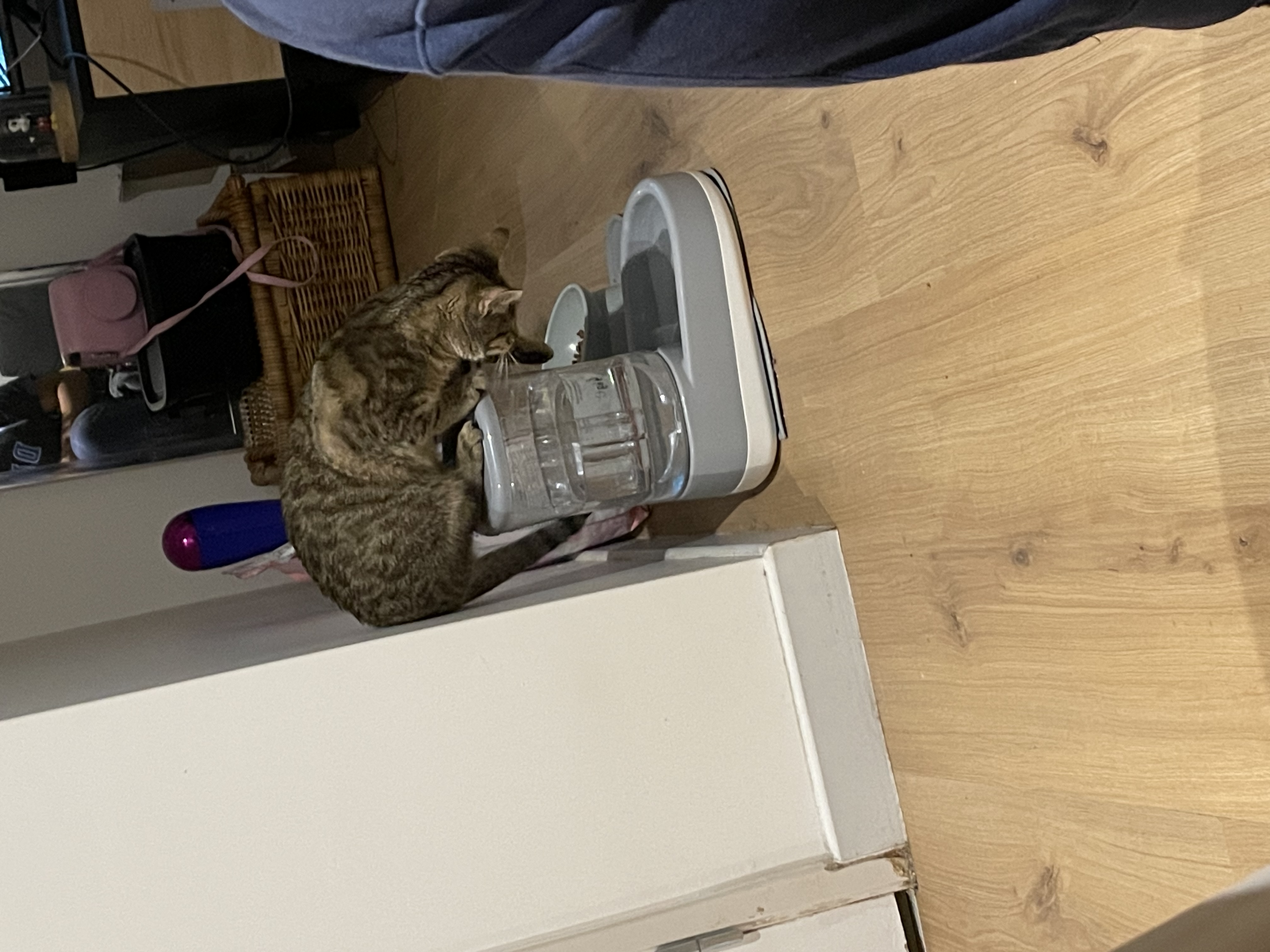image-18