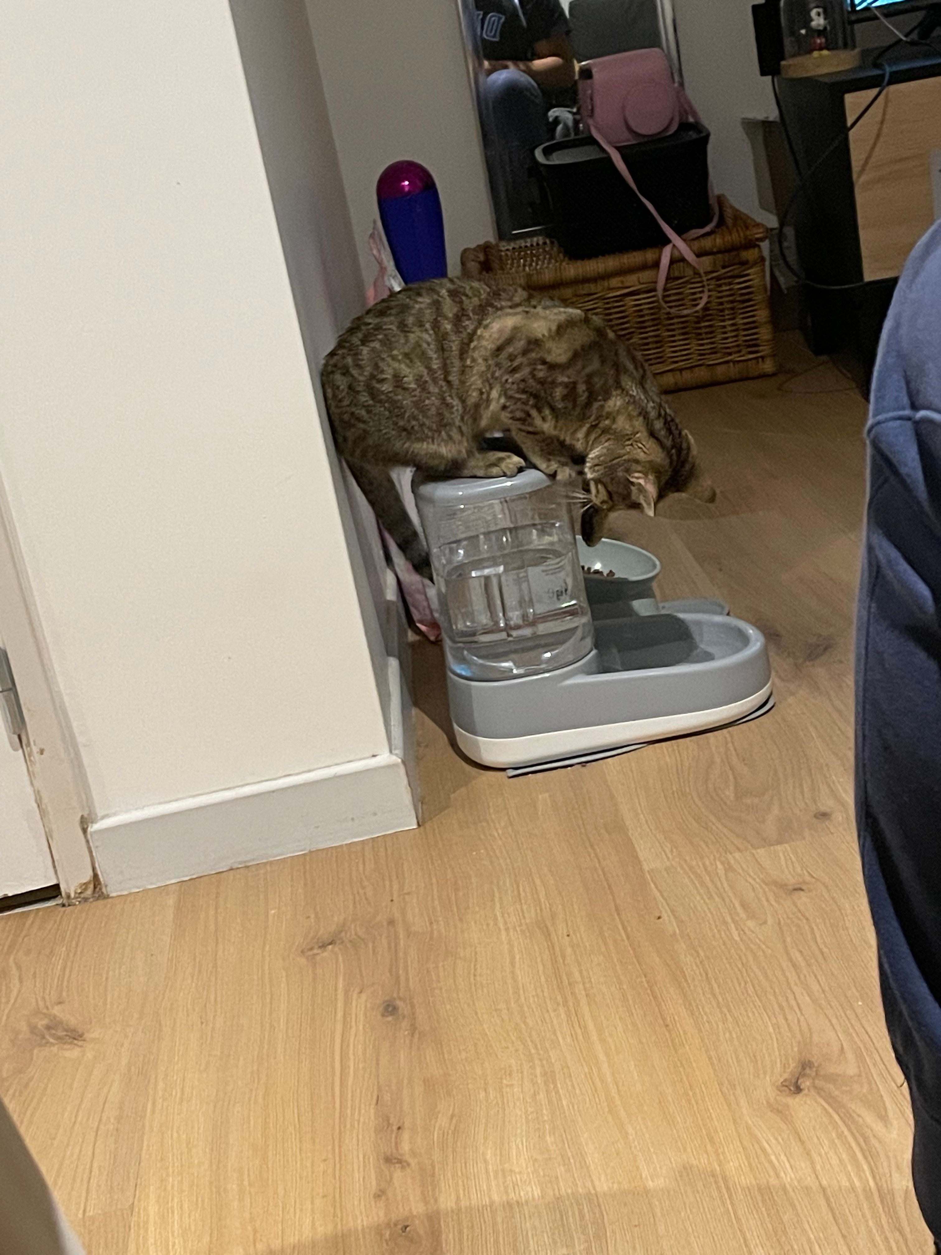 image-18
