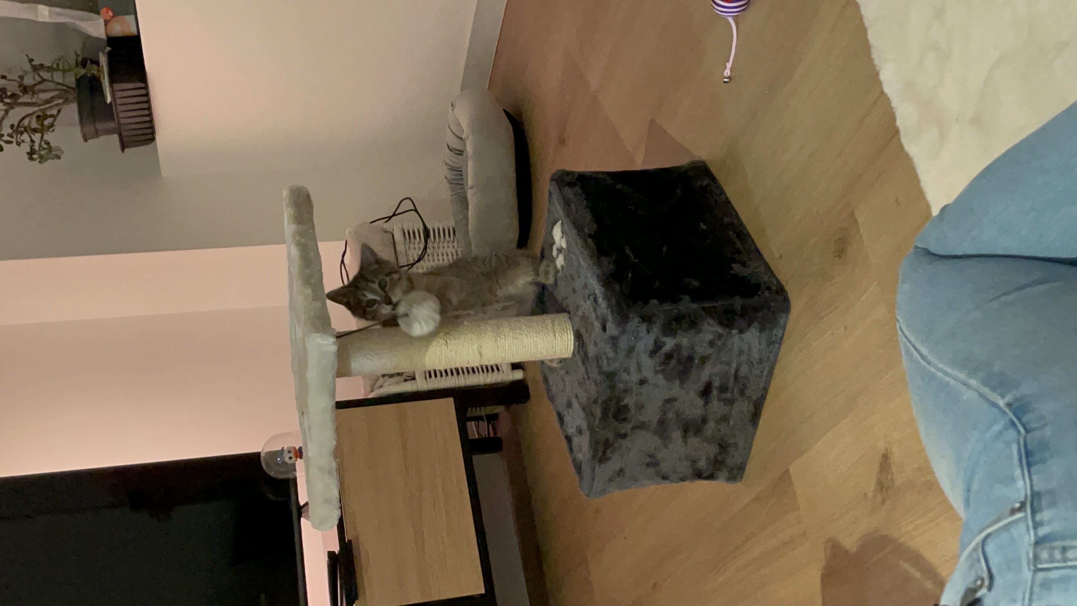 image-3