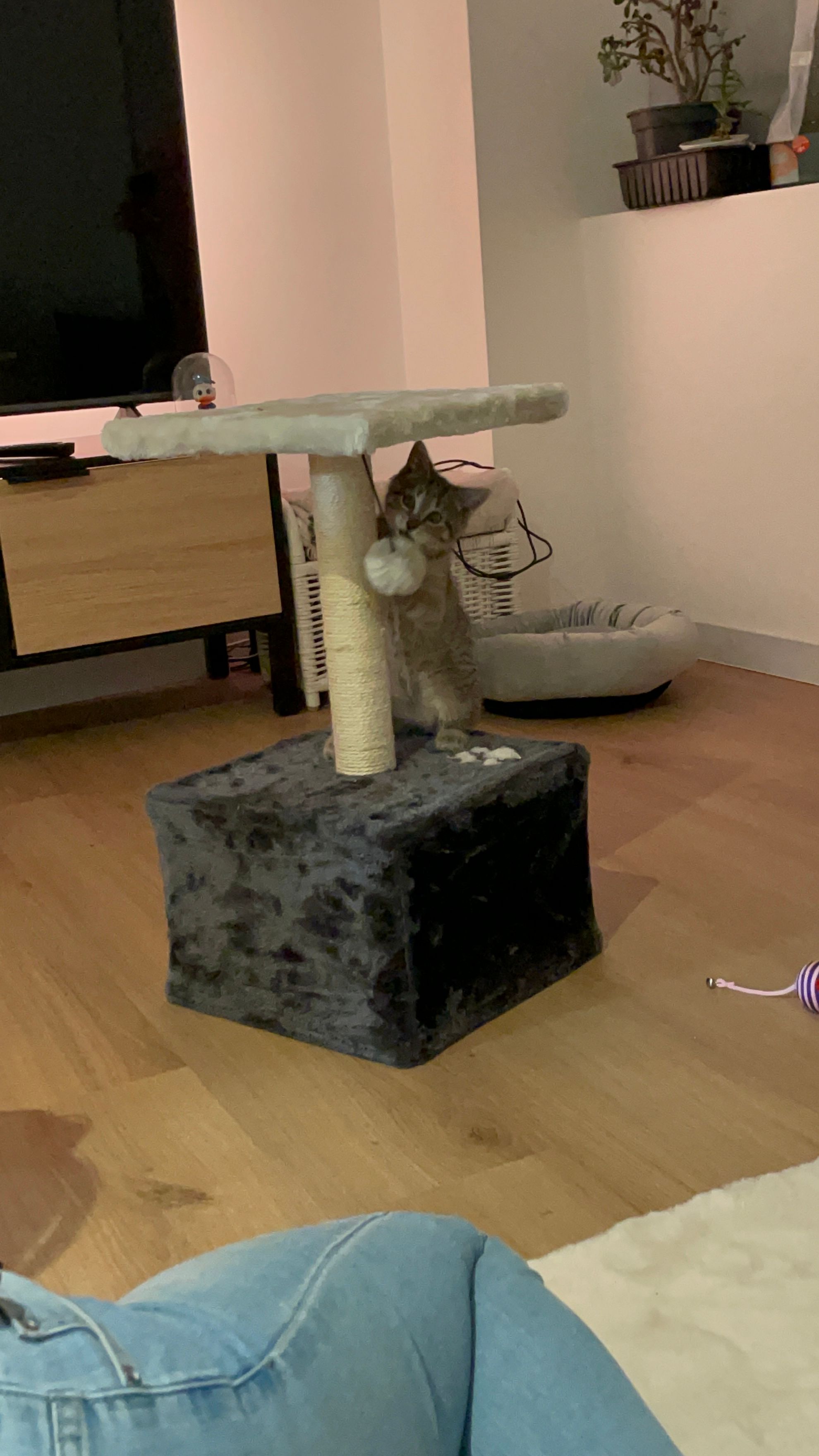 image-3