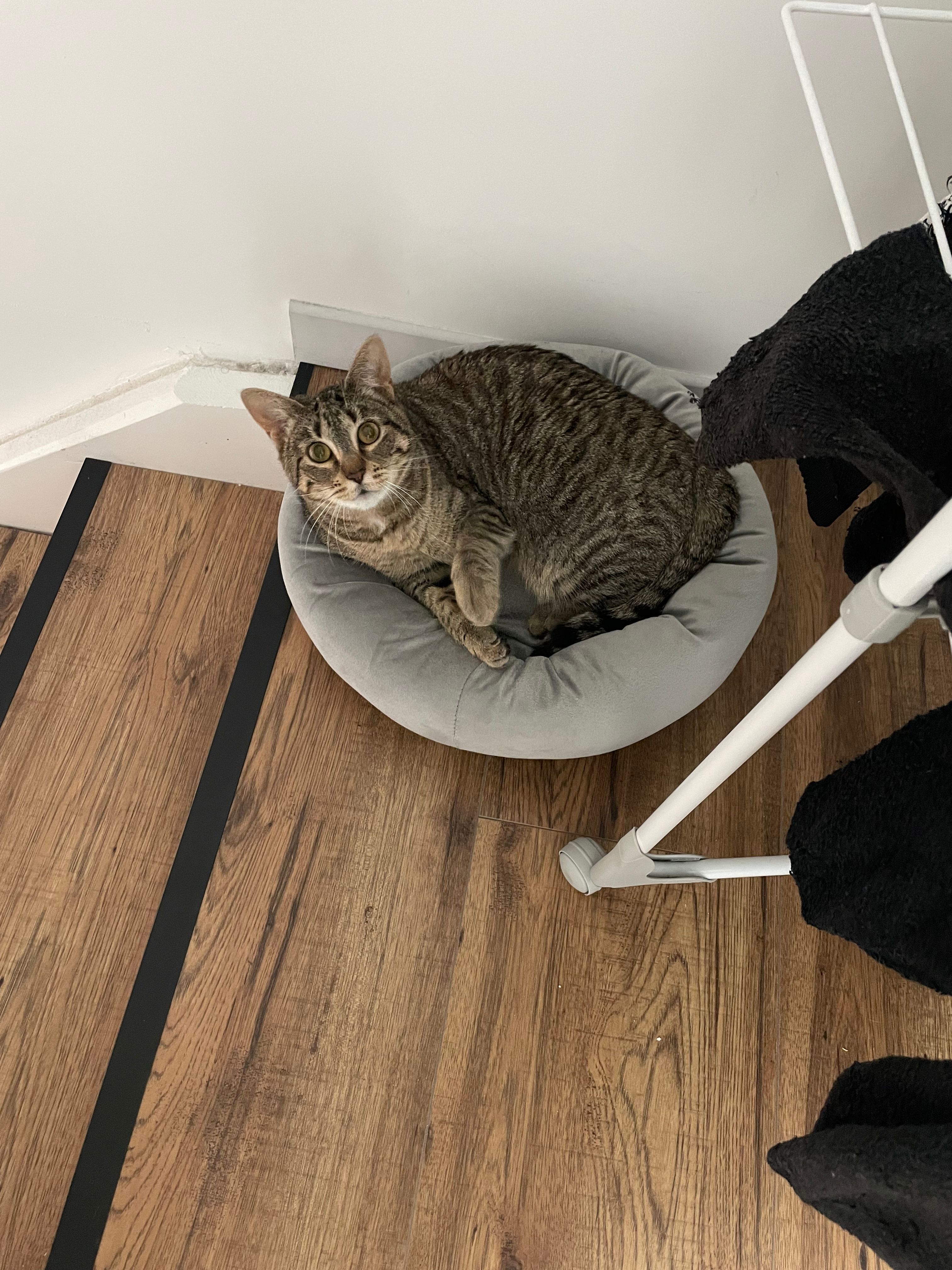 image-17