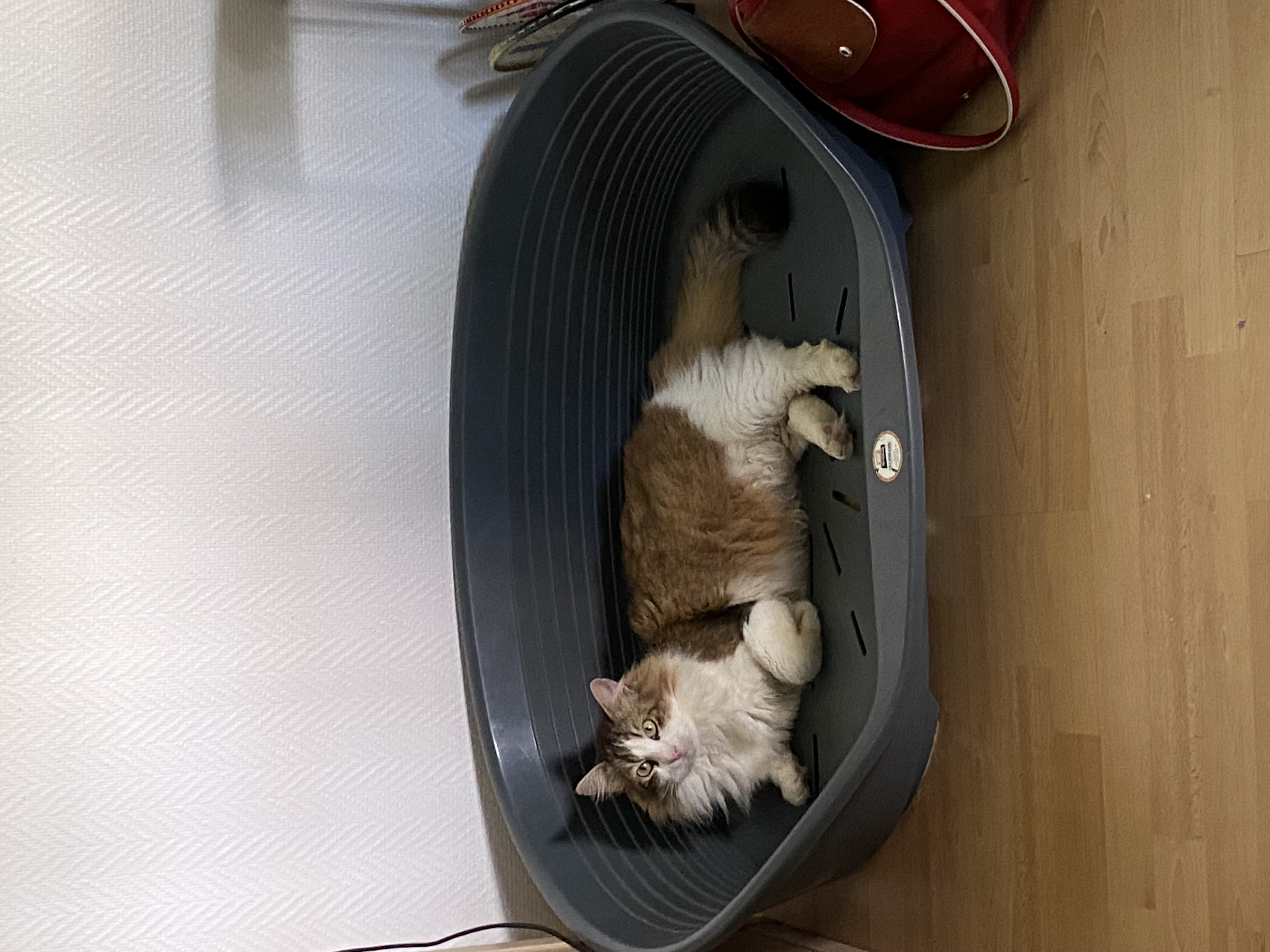 image-10