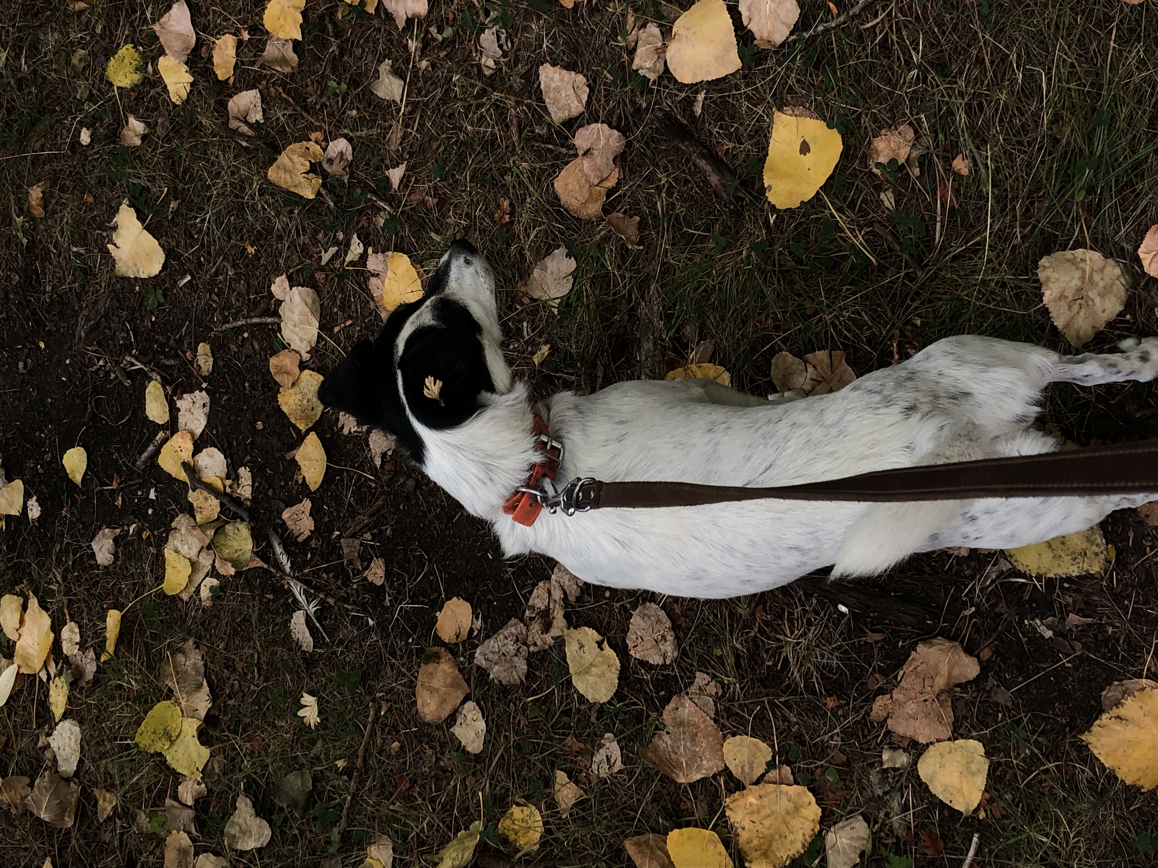 image-6