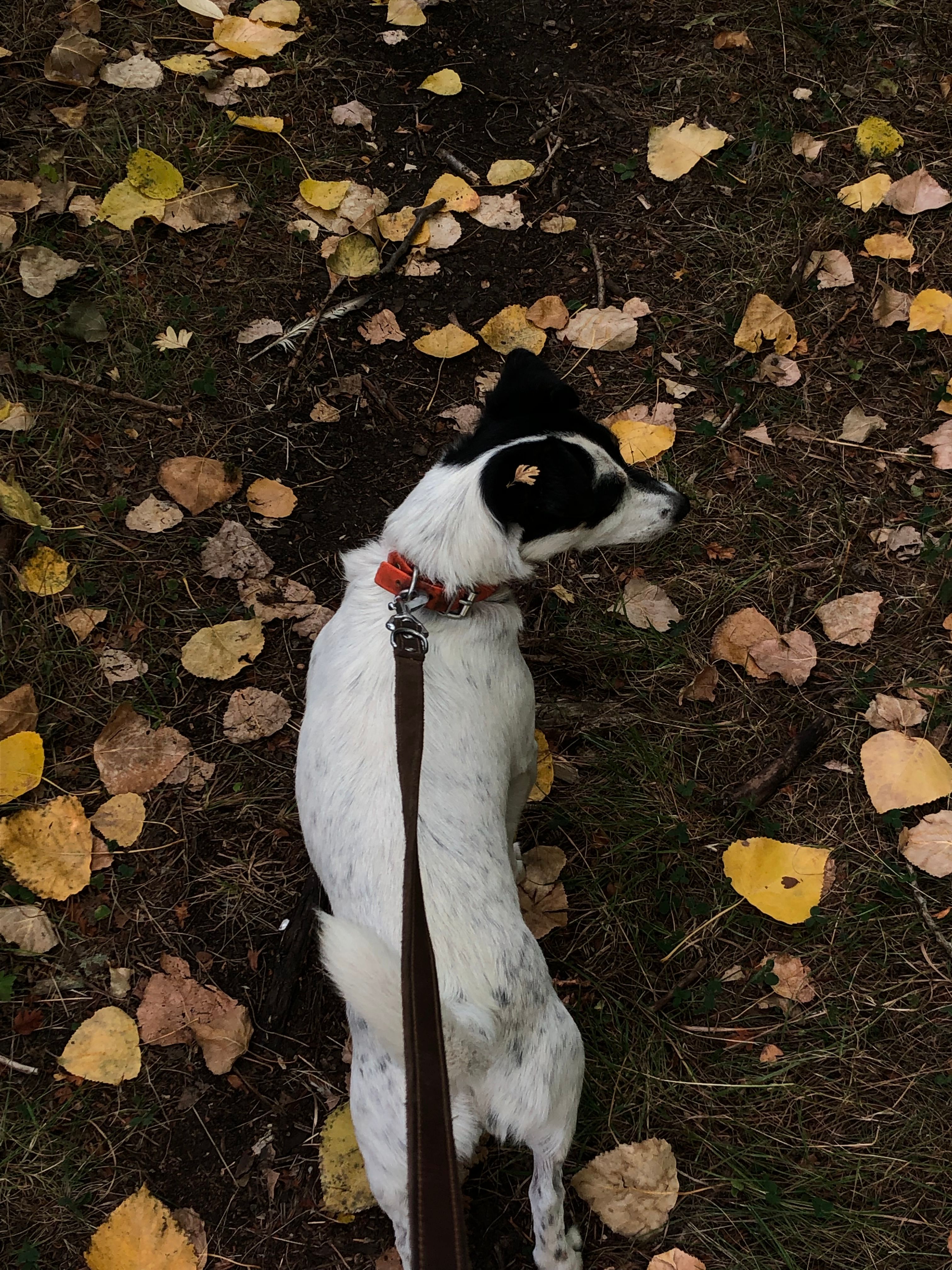 image-6