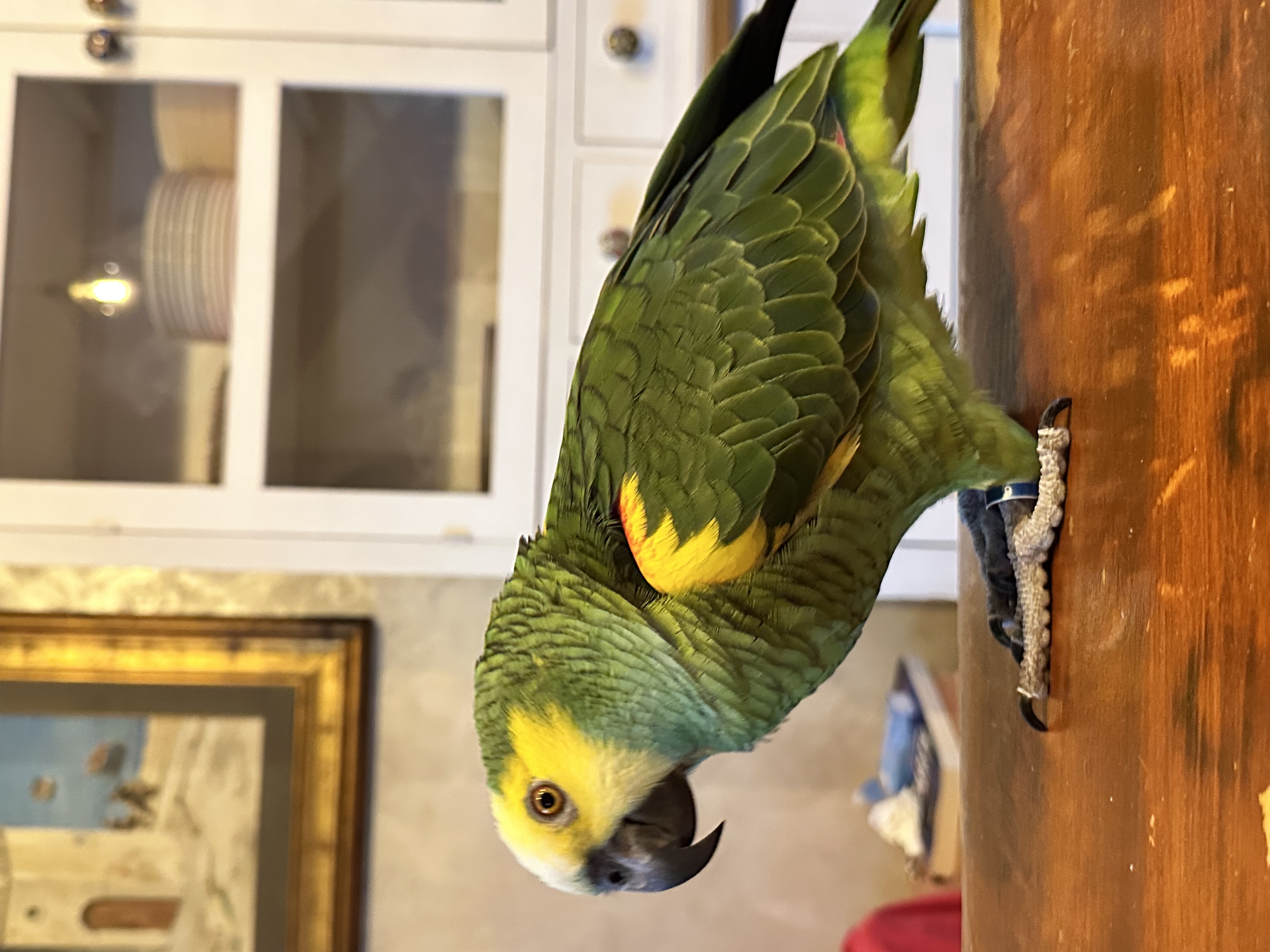 image-12