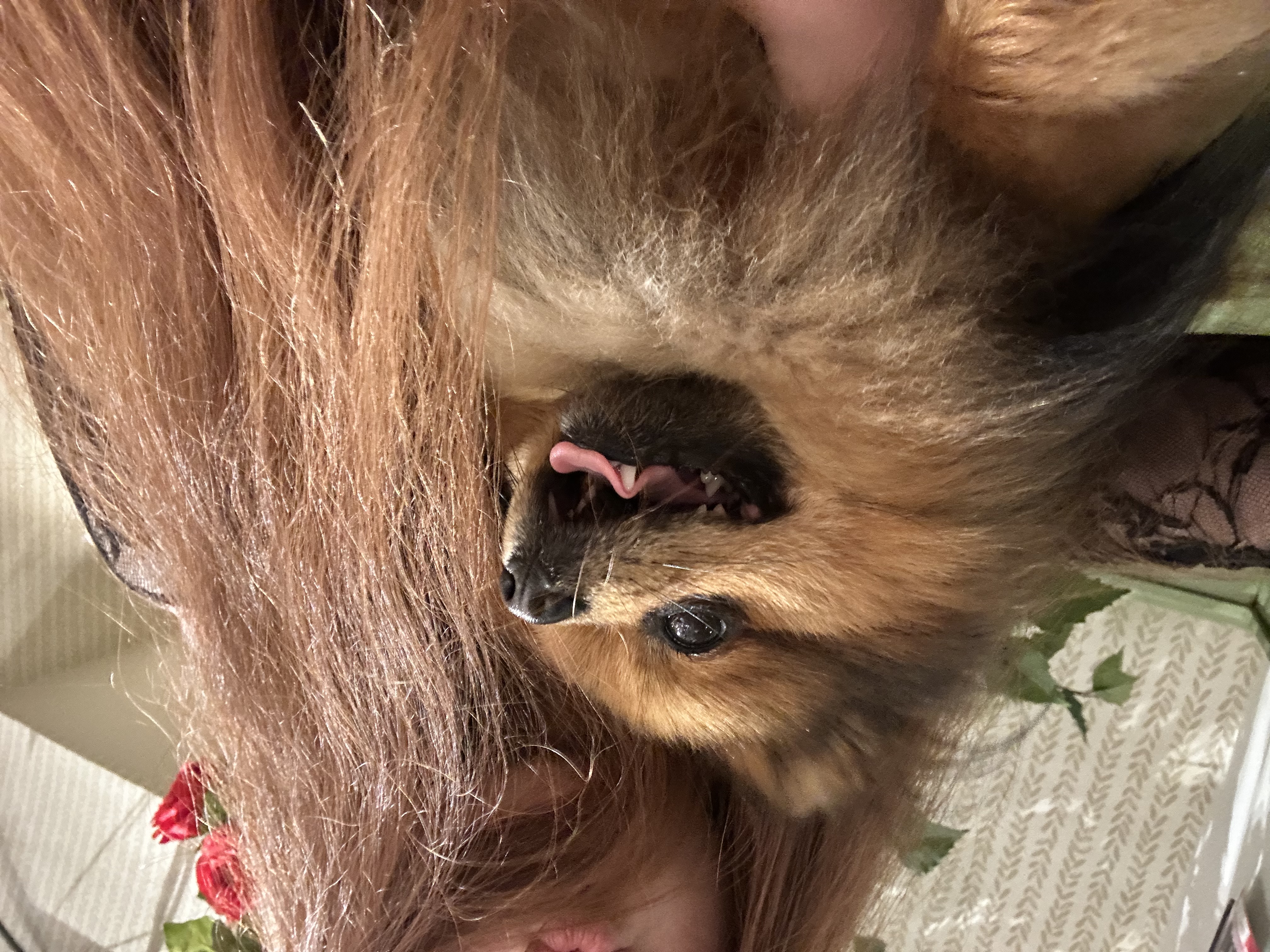 image-6
